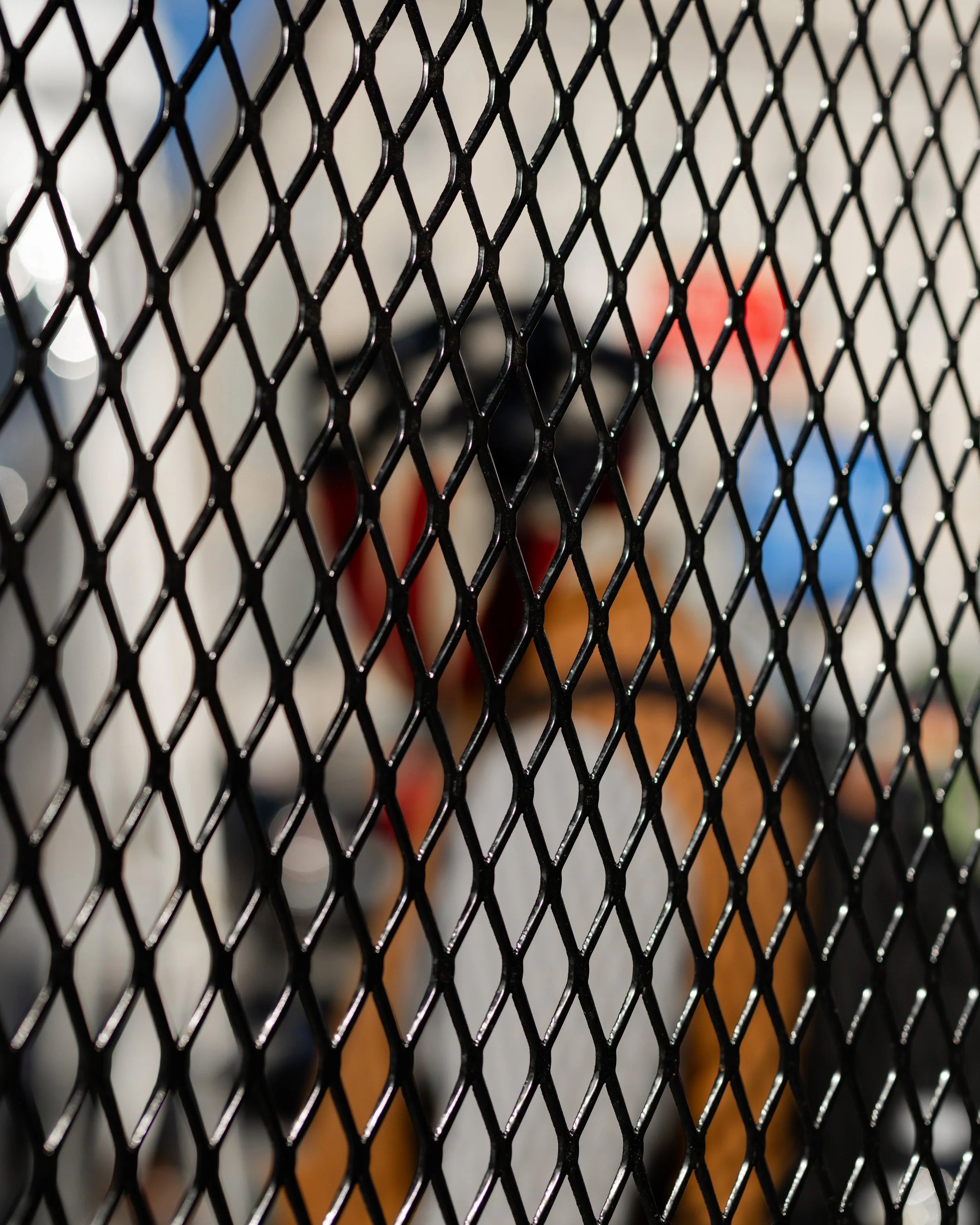 Inauguration Day-7334.jpg