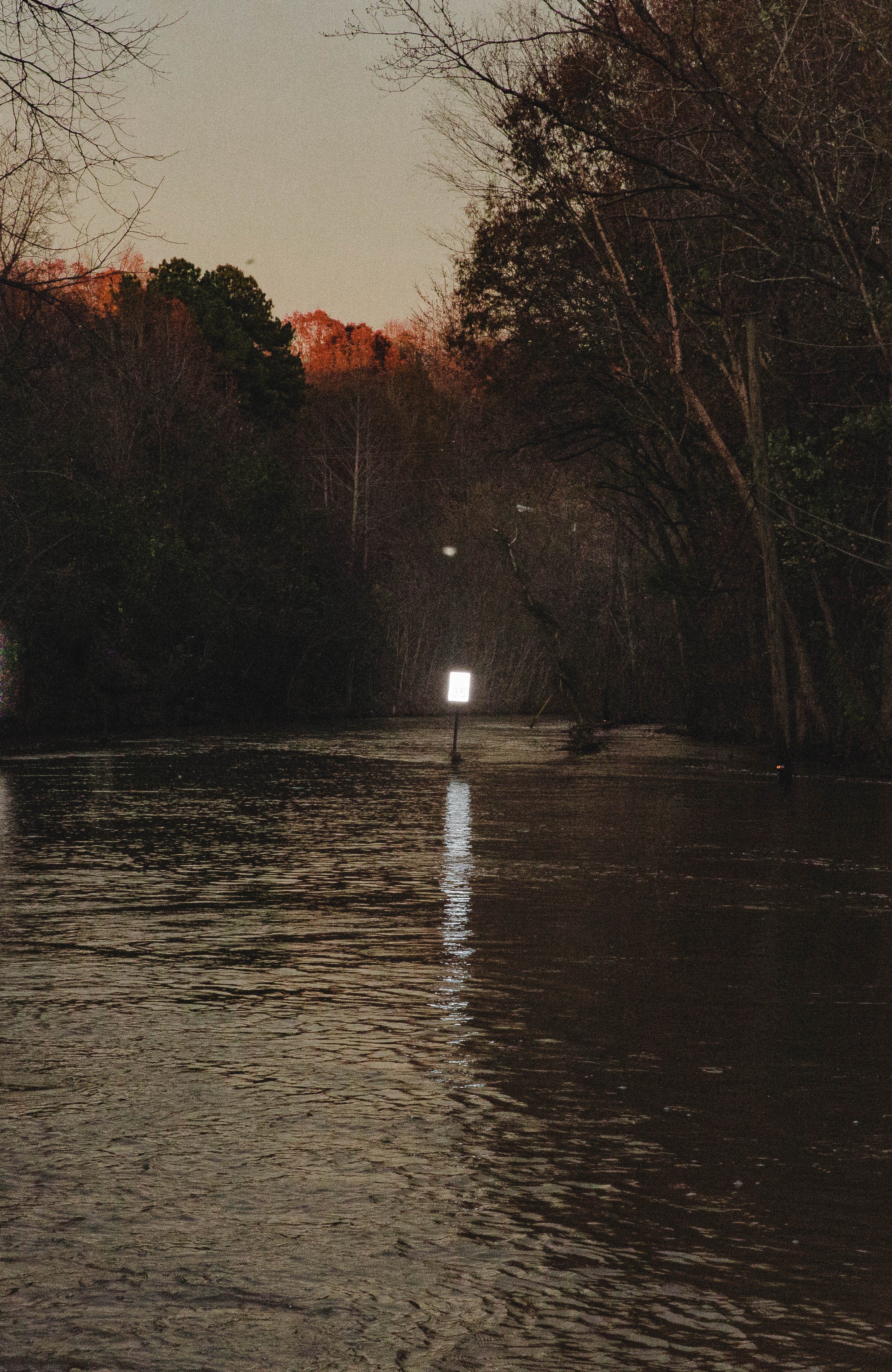 Retinal Flood-3037.jpg