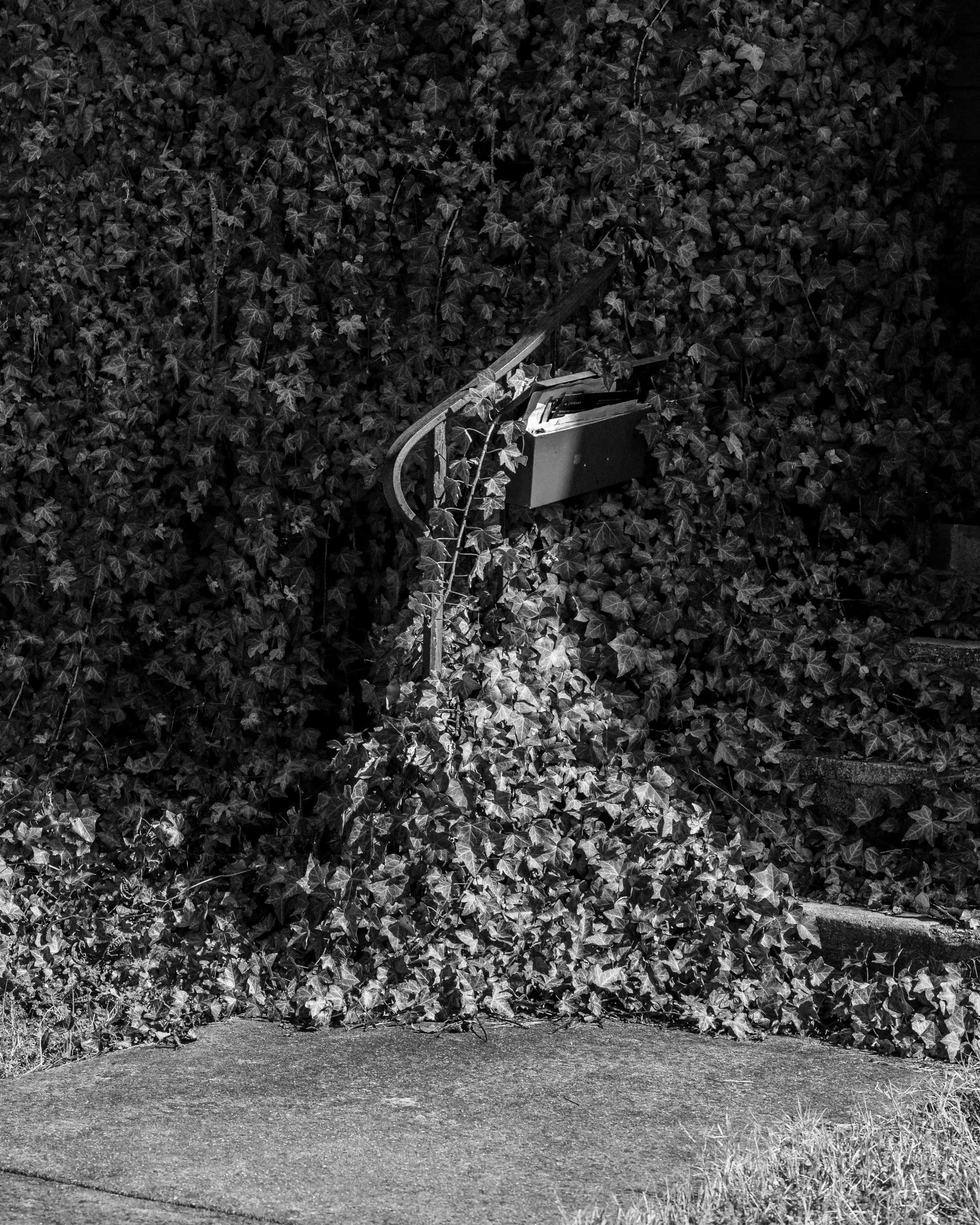 Rurual.seascape.fineart.etc 7.20.25 Lower image quality-3-61.jpg