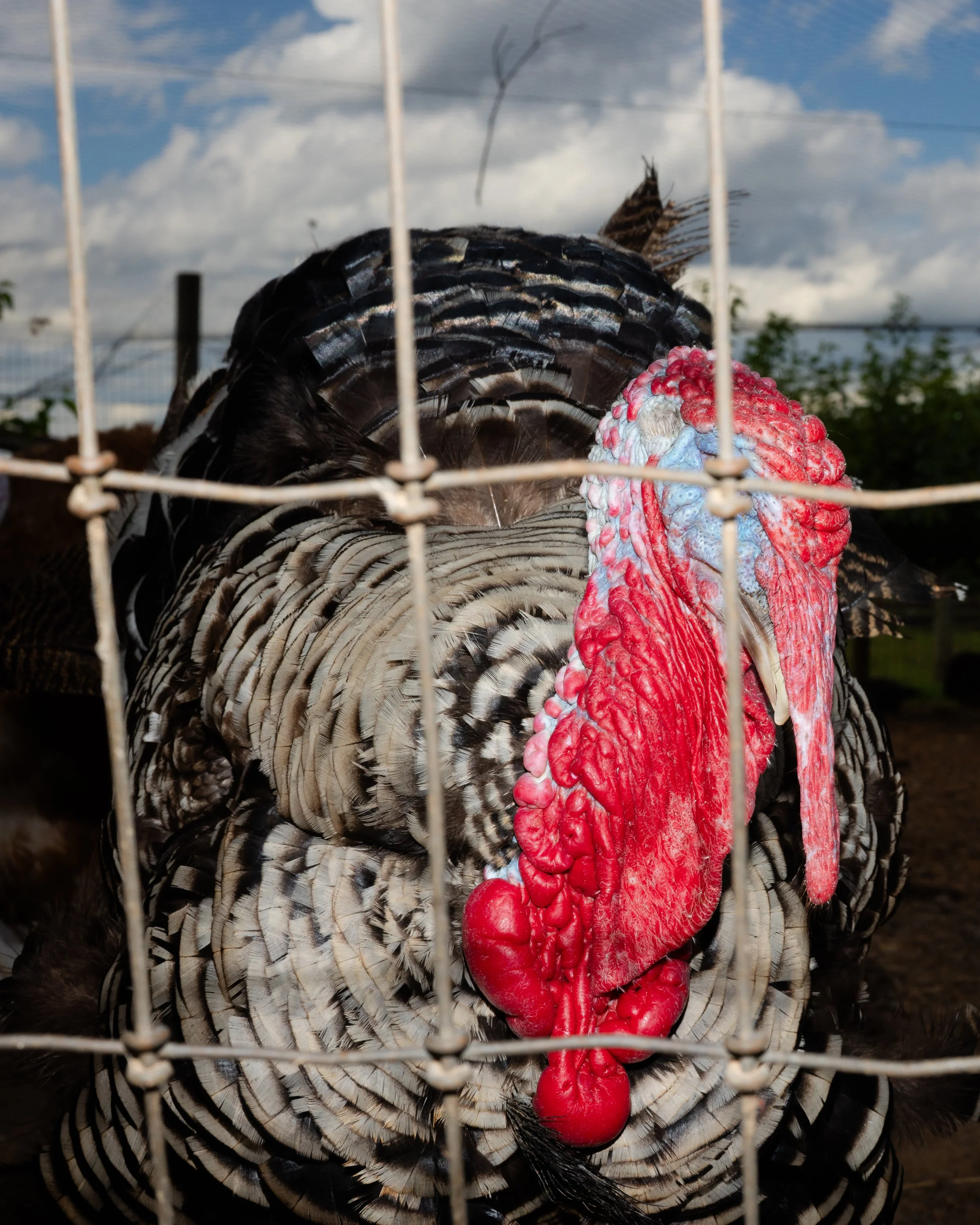 Memorial Day Weekend -0678-6.jpg