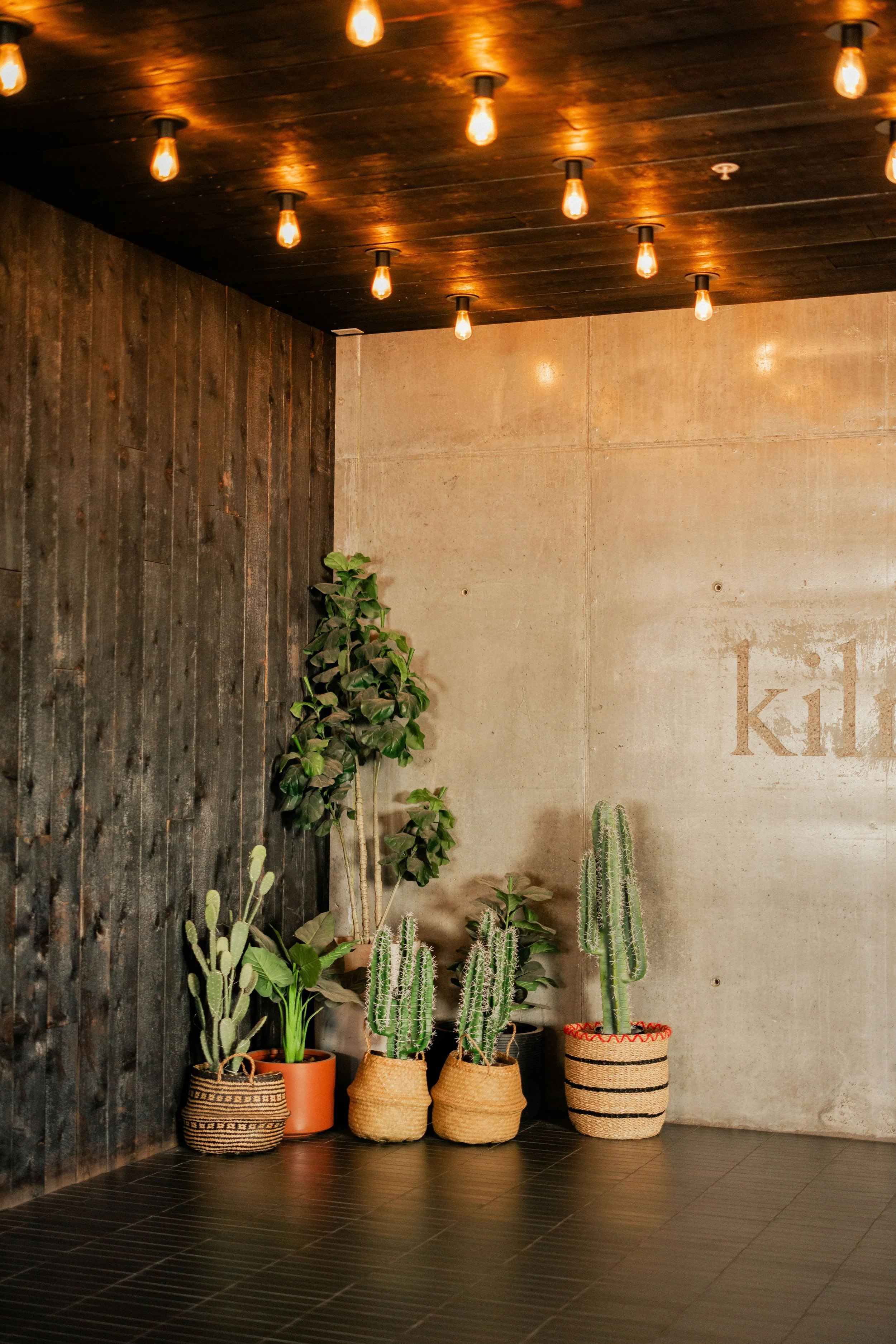 Rurual.seascape.fineart.etc 7.20.25 Lower image quality--64.jpg