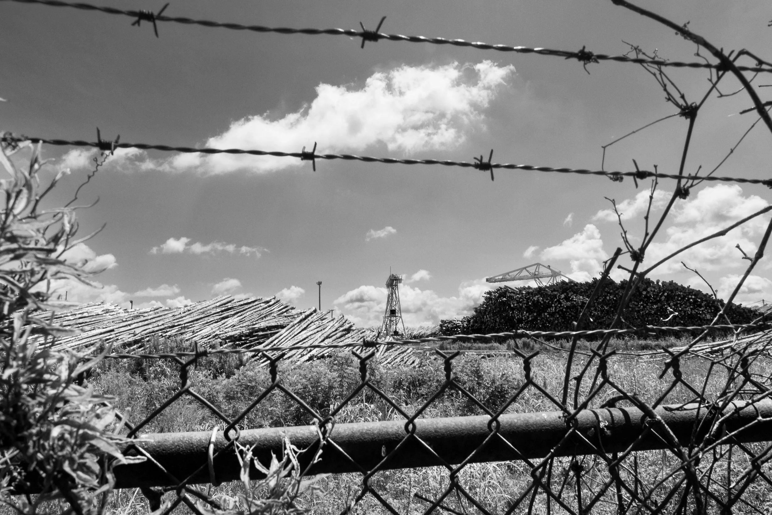 Rurual.seascape.fineart.etc 7.20.25 Lower image quality-0616.jpg