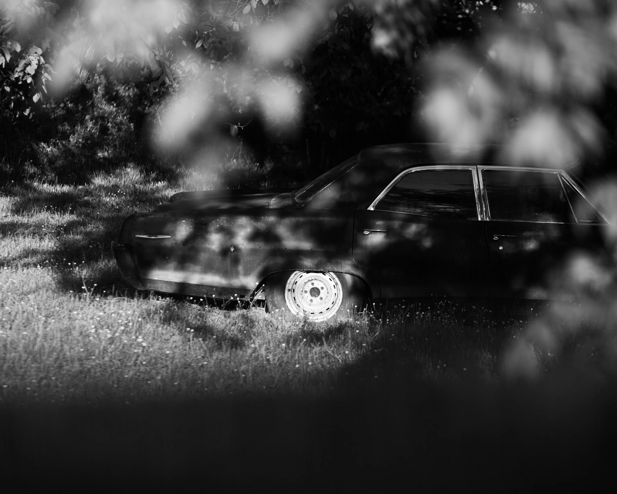 Rurual.seascape.fineart.etc 7.20.25 Lower image quality-3982.jpg