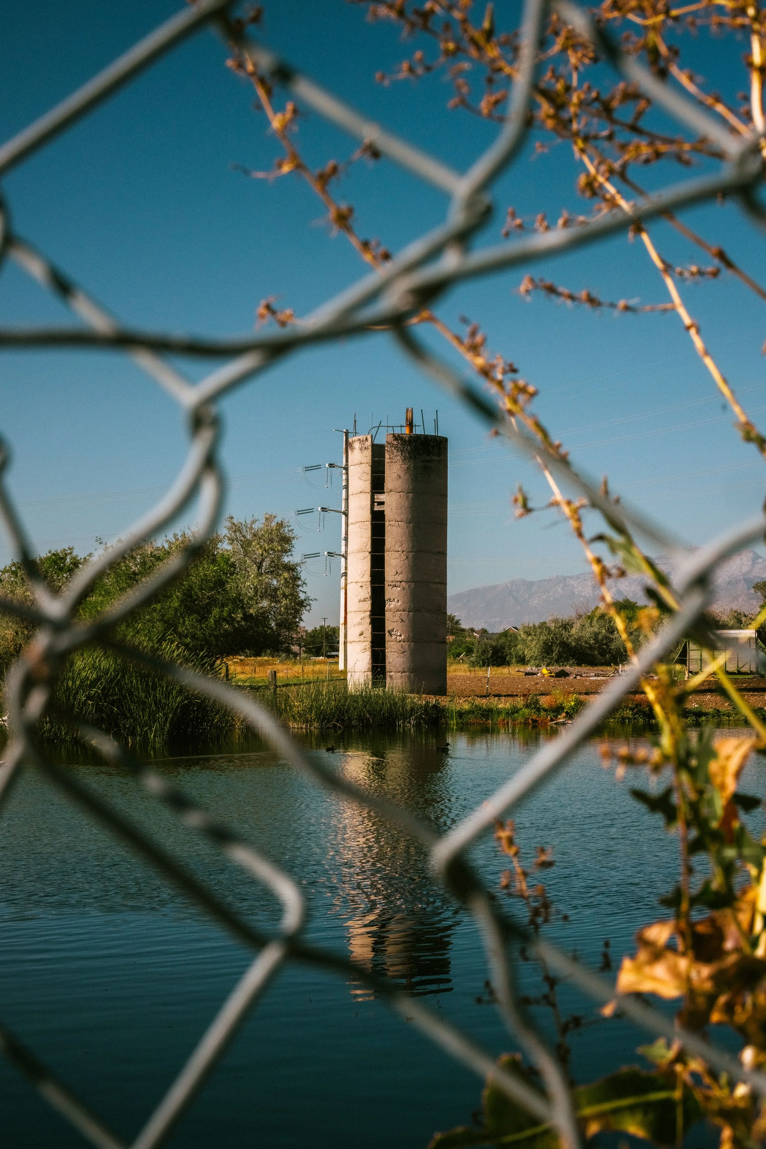 Rurual.seascape.fineart.etc 7.20.25 Lower image quality-9783.jpg