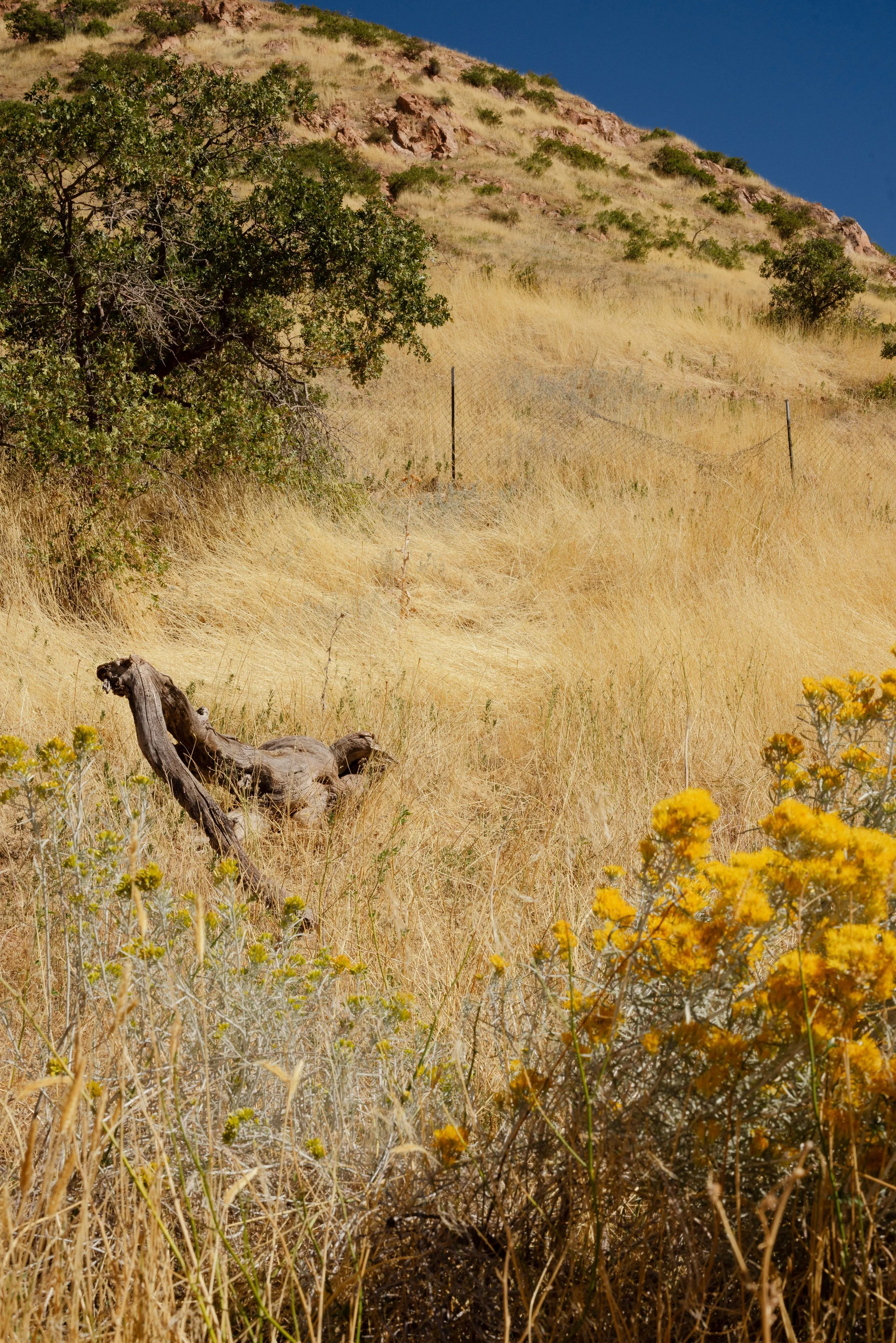 Rurual.seascape.fineart.etc 7.20.25 Lower image quality-8953.jpg