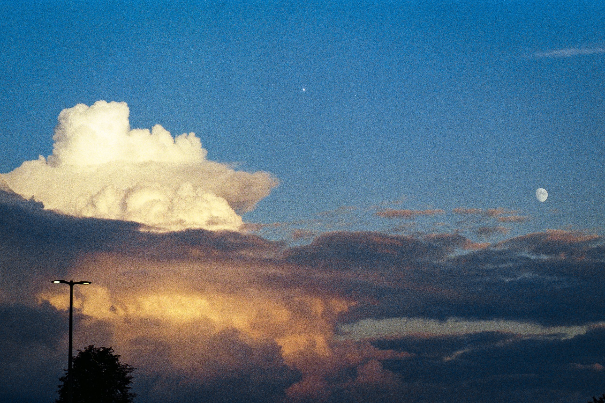 Fair.DC.FoxMillEstate-20 copy.jpg