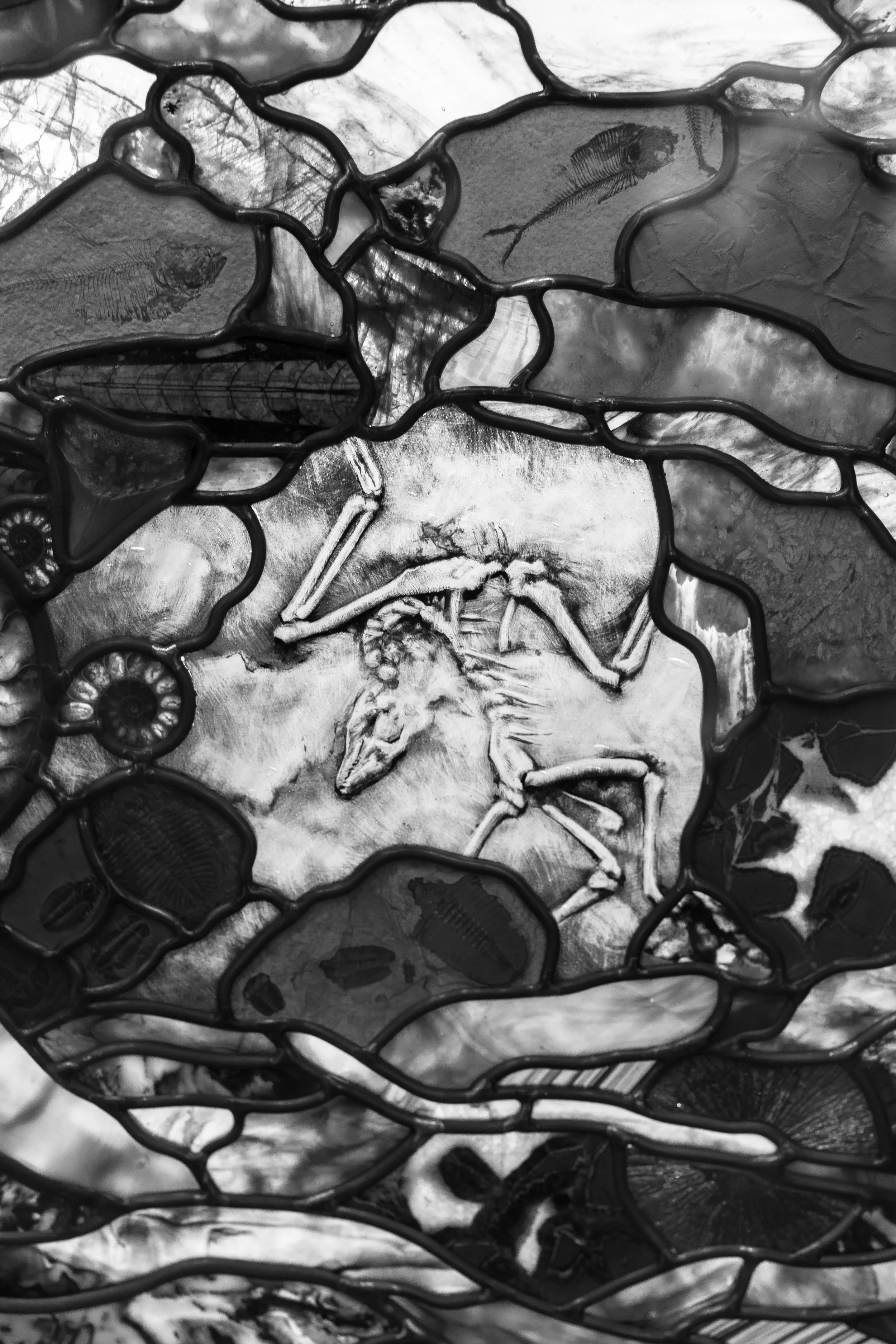 Rurual.seascape.fineart.etc 7.20.25 Lower image quality-2-77.jpg