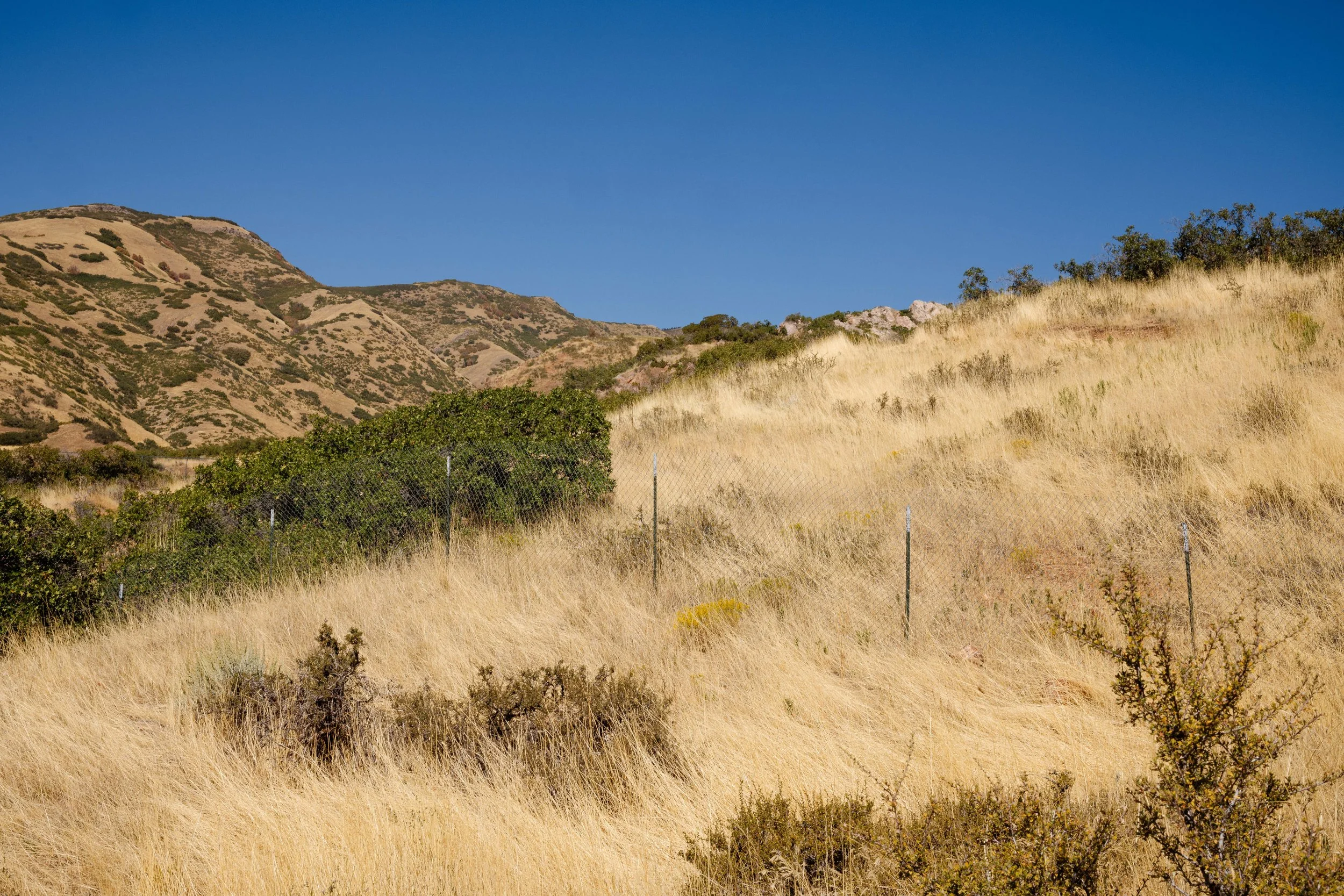 Rurual.seascape.fineart.etc 7.20.25 Lower image quality-2-53.jpg