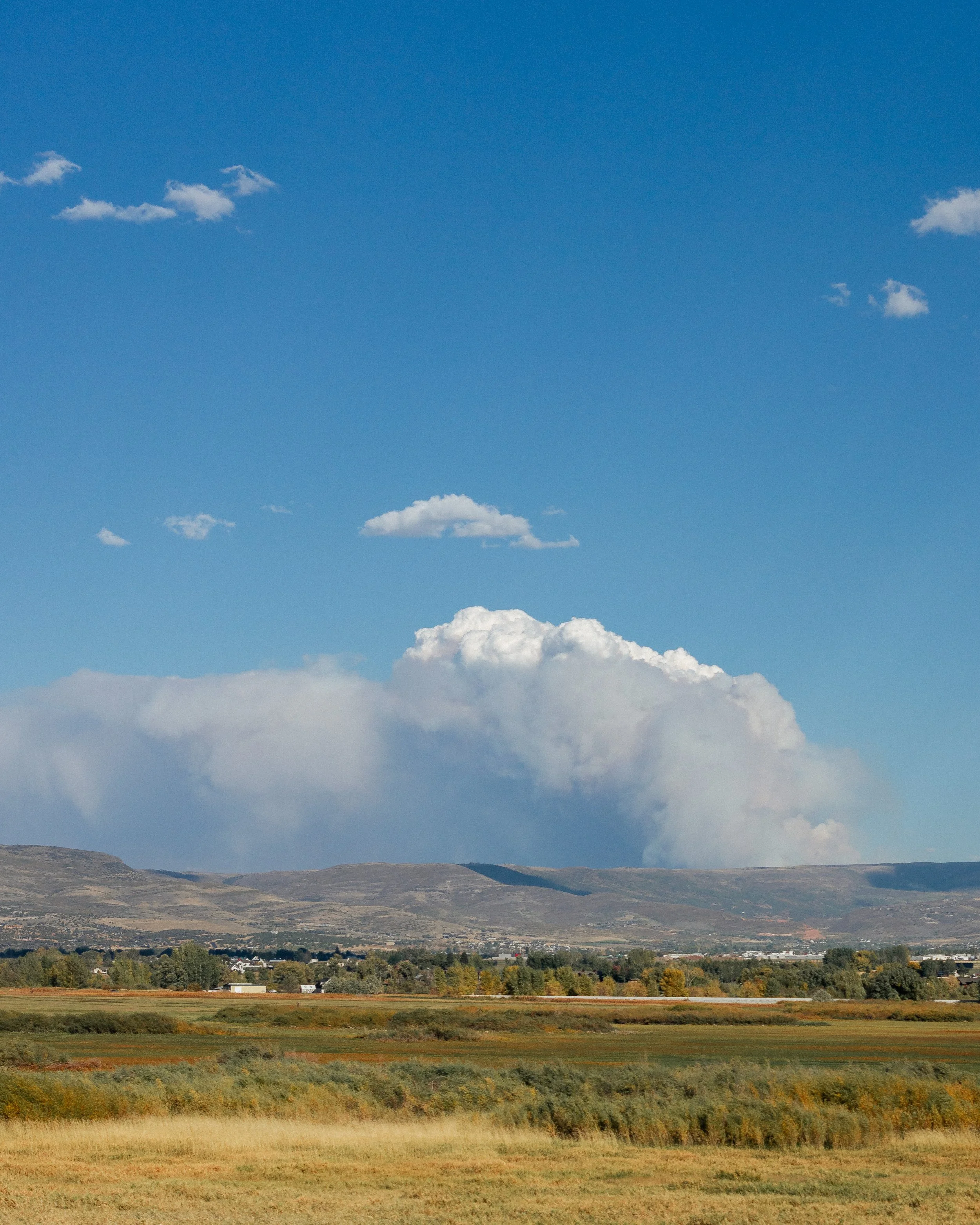 Rurual.seascape.fineart.etc 7.20.25 Lower image quality-1304.jpg