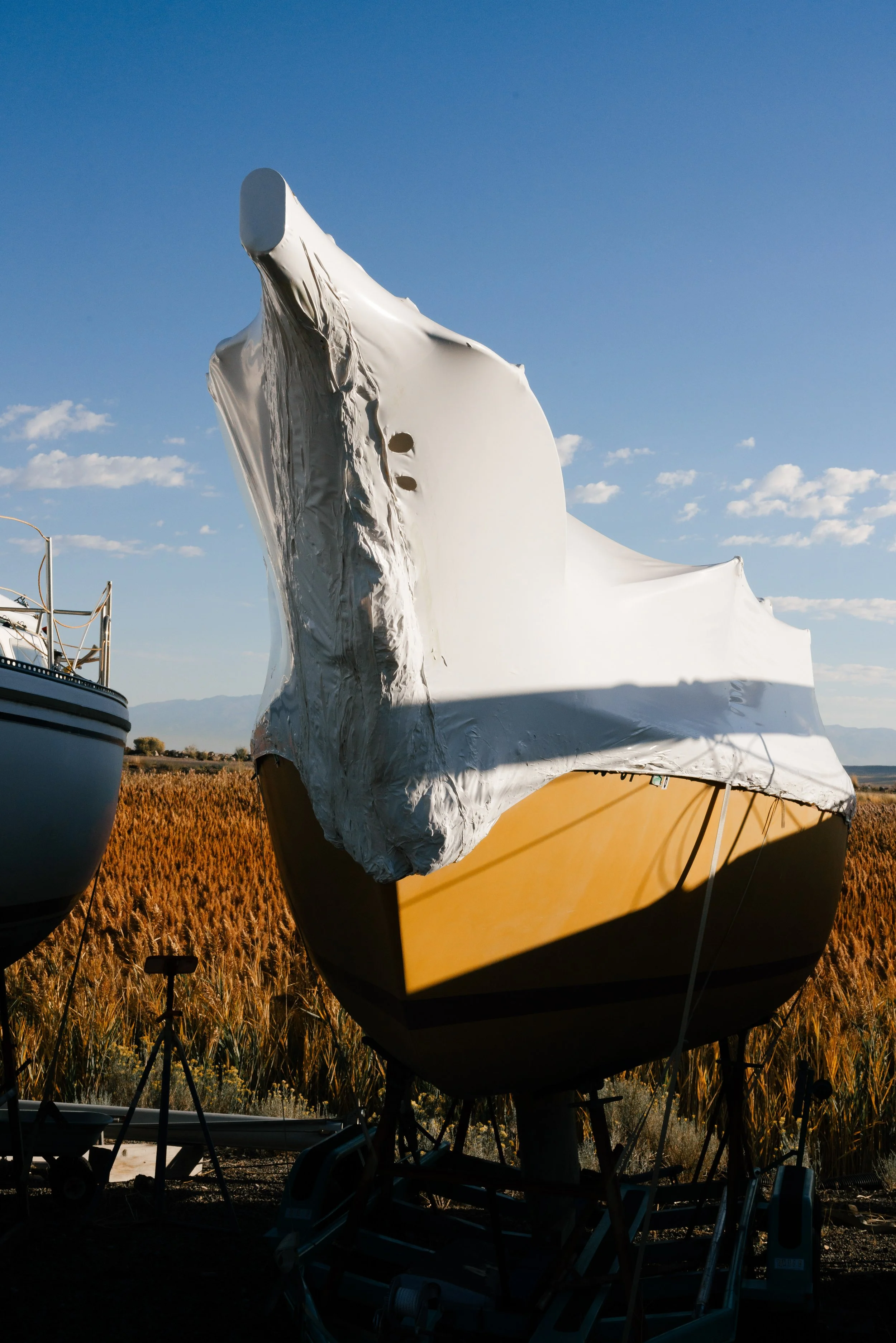 Rurual.seascape.fineart.etc 7.20.25 Lower image quality-3967.jpg