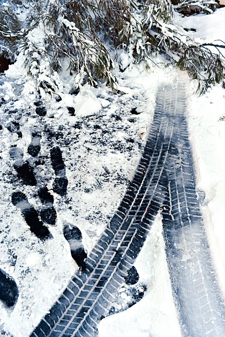 Kodak.Pentax. Roll I-2 copy.jpg