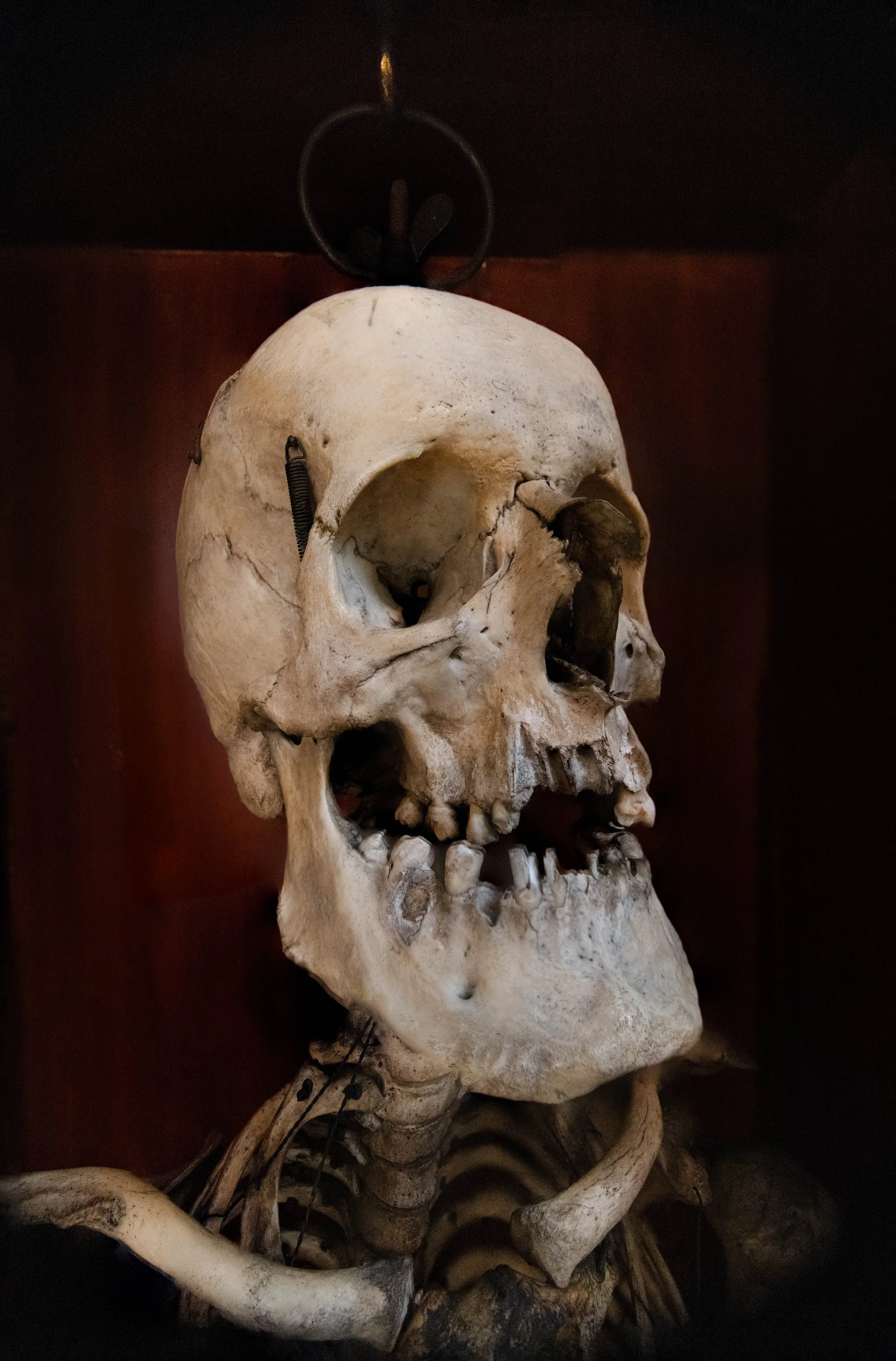 Dead 7.20.25 Lower image quality-1.jpg