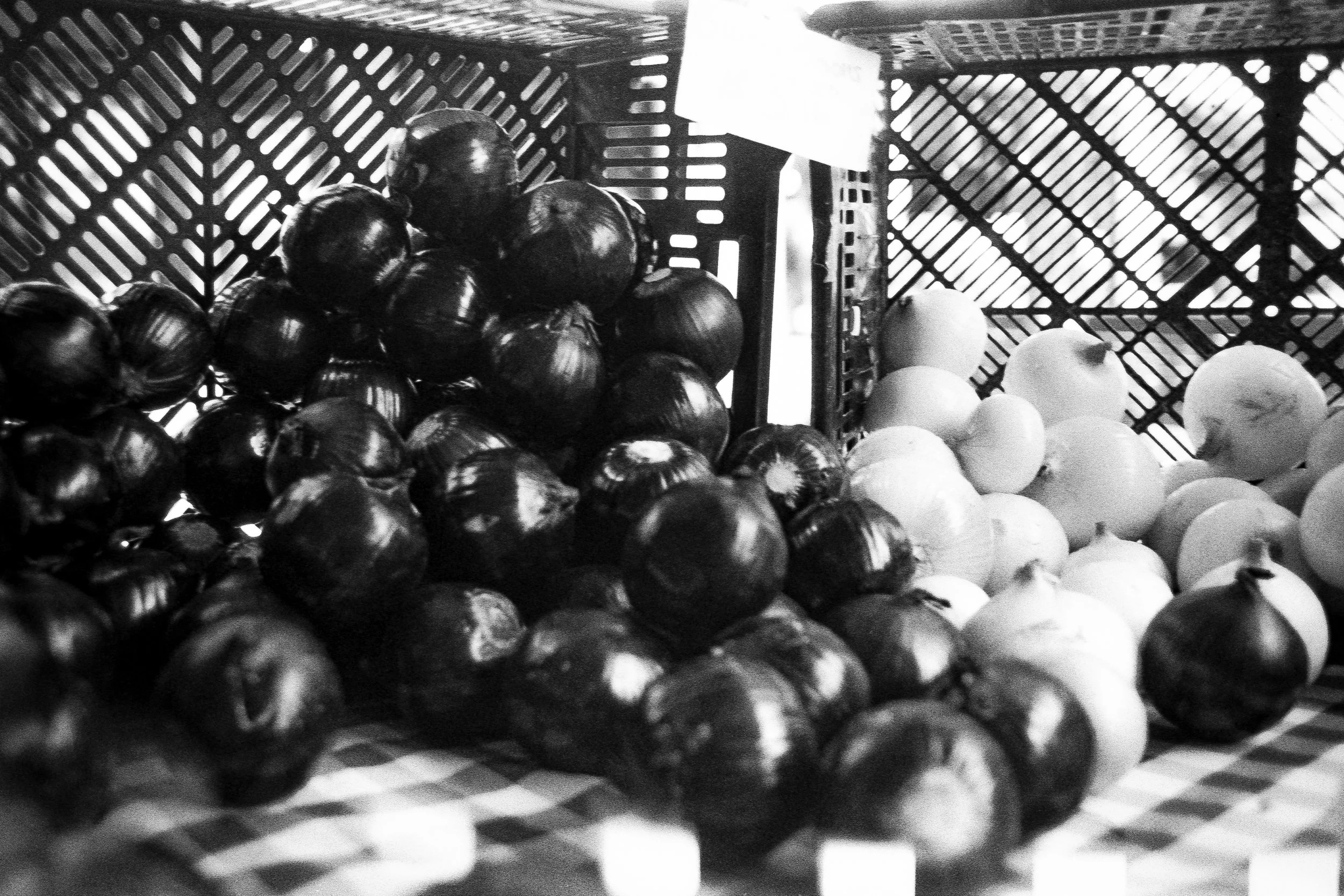 Farmers.Fair-21 copy.jpg