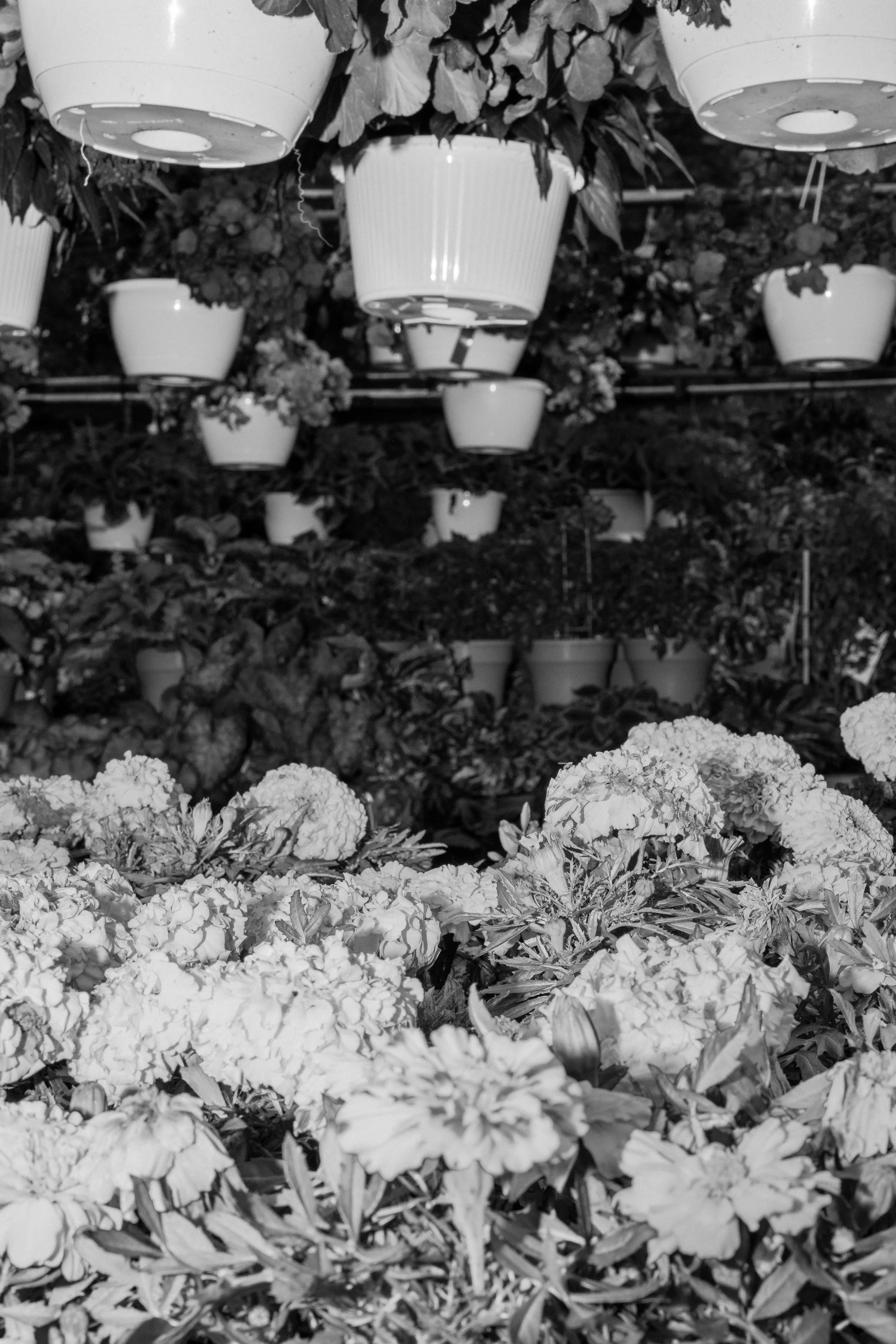 Rurual.seascape.fineart.etc 7.20.25 Lower image quality-2-162.jpg