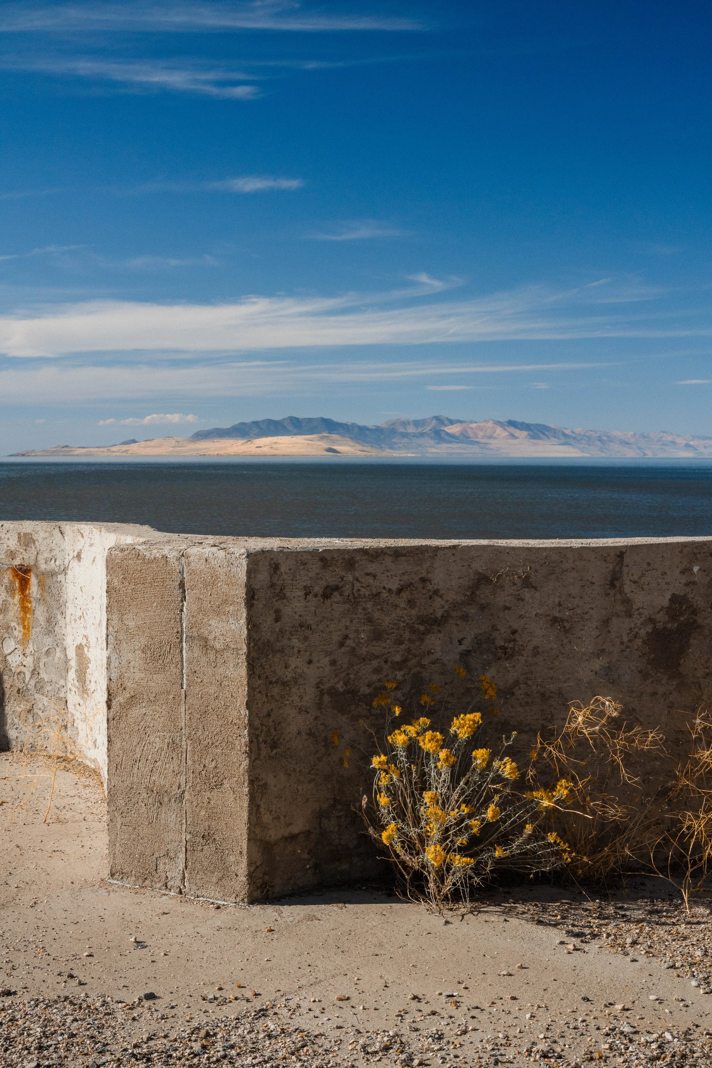 Rurual.seascape.fineart.etc 7.20.25 Lower image quality-4237.jpg