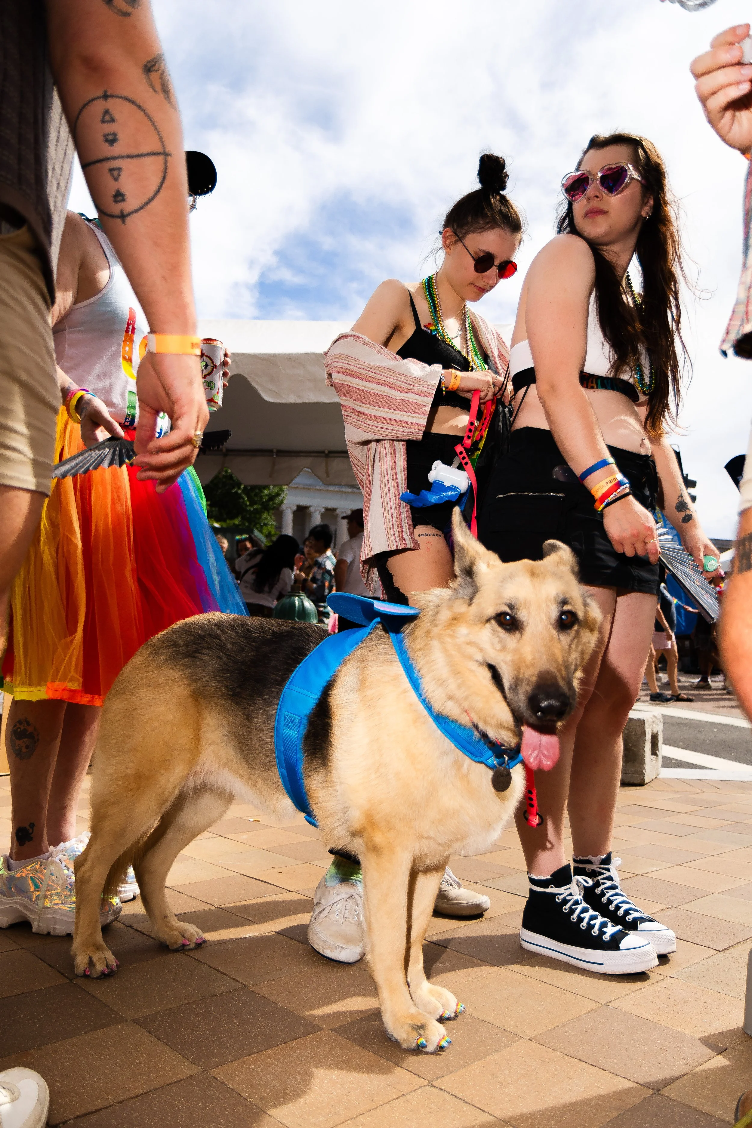 Sam Chase for Capital Pride- Concert- 6-8-2024 -3869.jpg