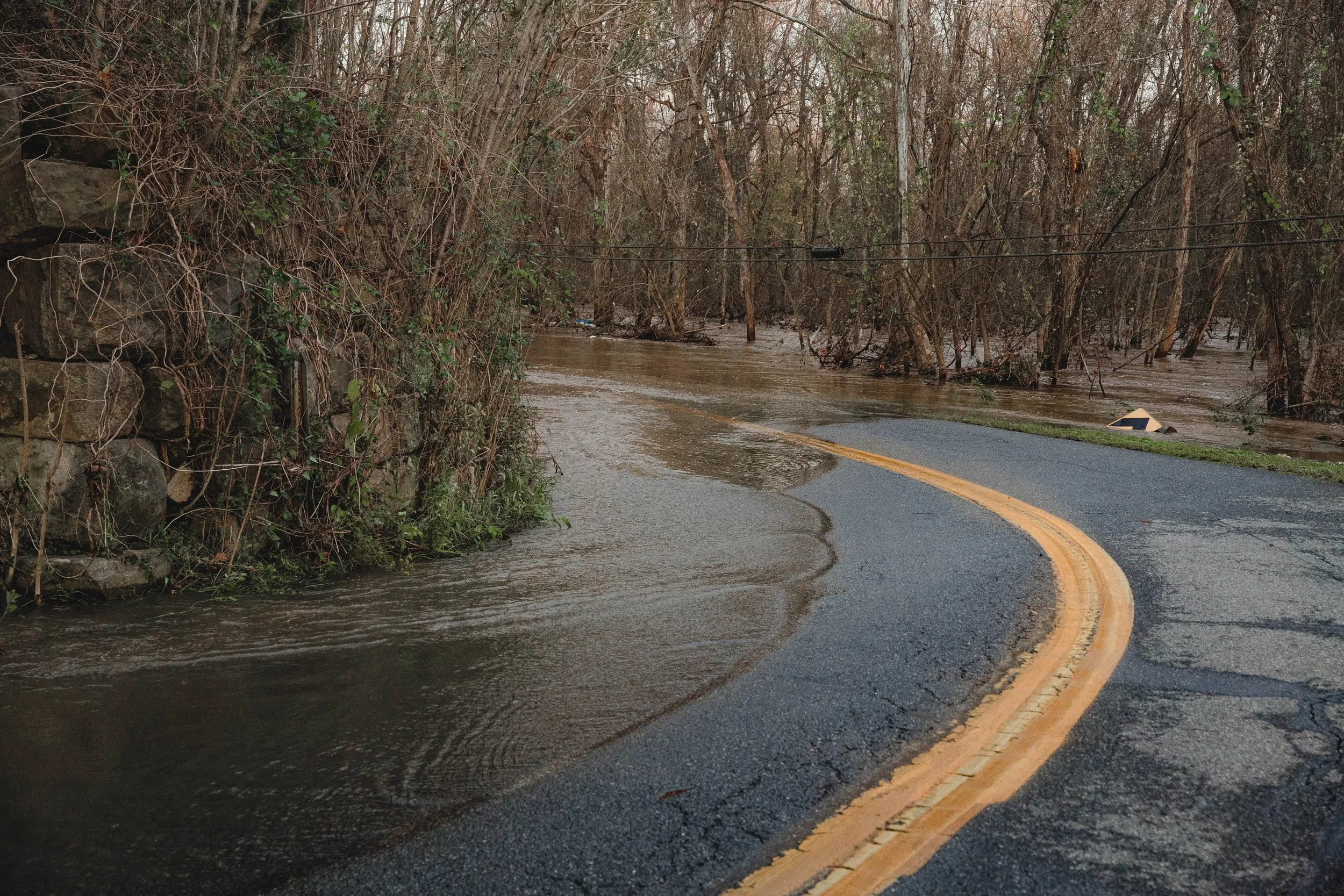 Retinal Flood-3017.jpg