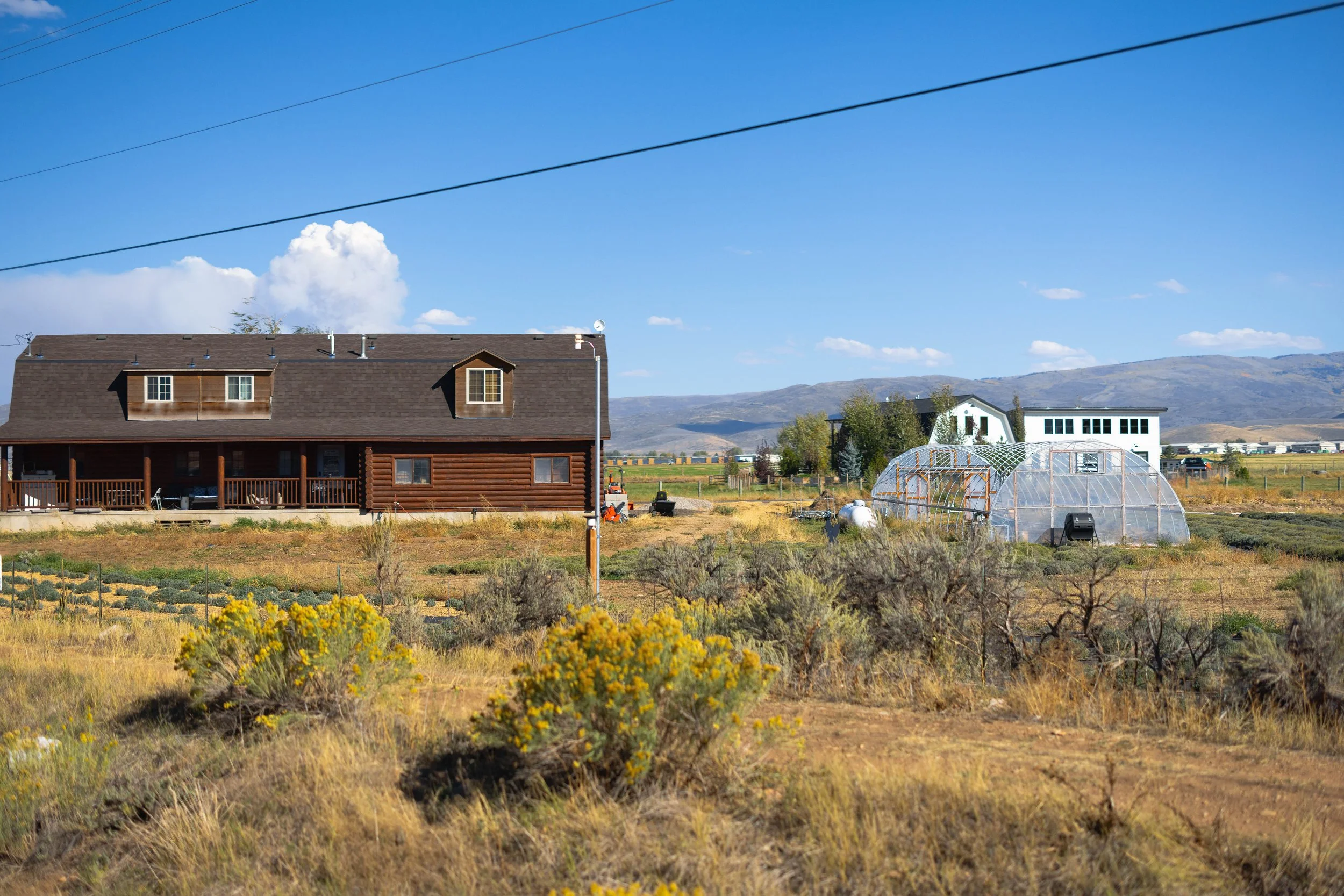 Rurual.seascape.fineart.etc 7.20.25 Lower image quality-0547.jpg