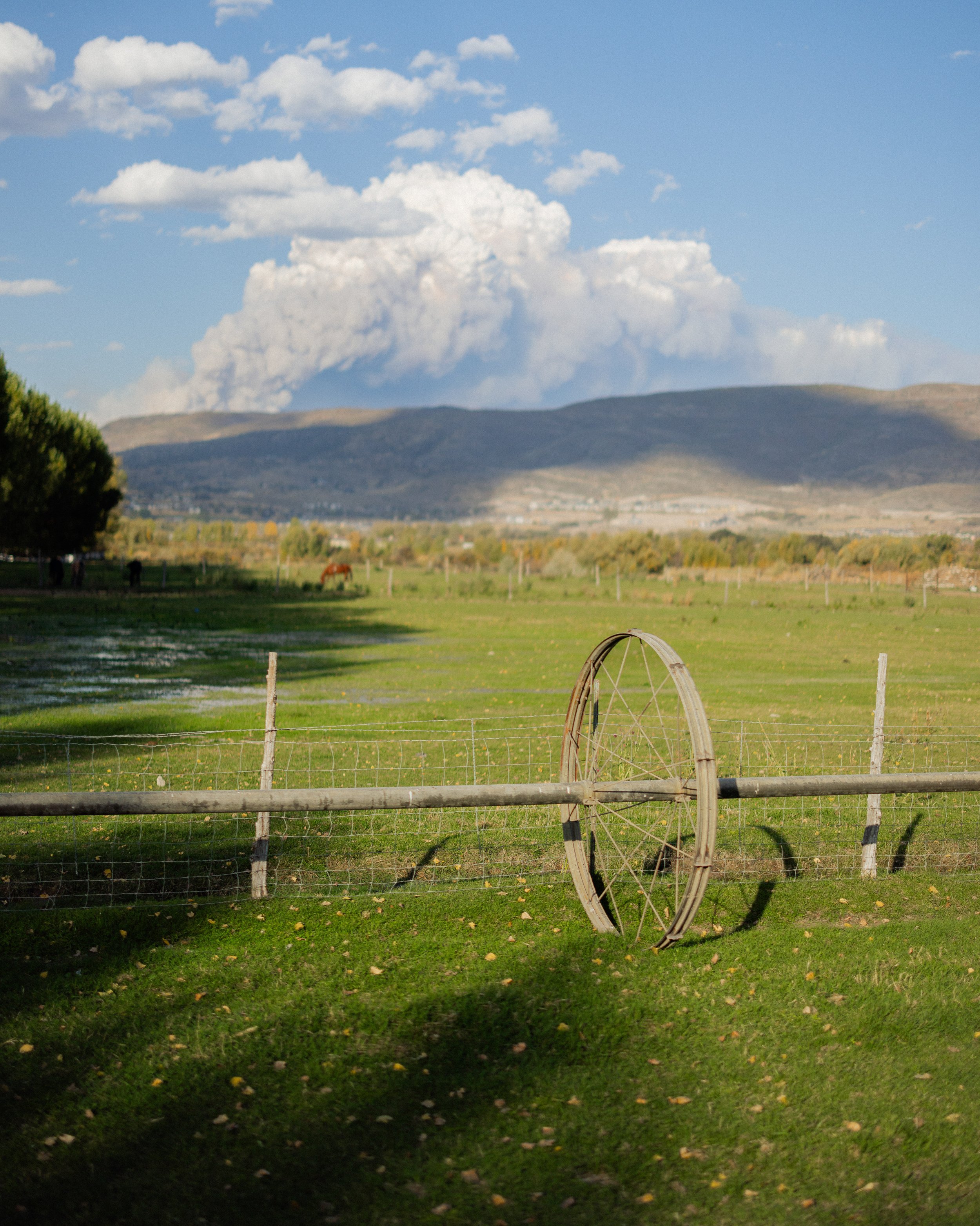 Rurual.seascape.fineart.etc 7.20.25 Lower image quality-1664.jpg