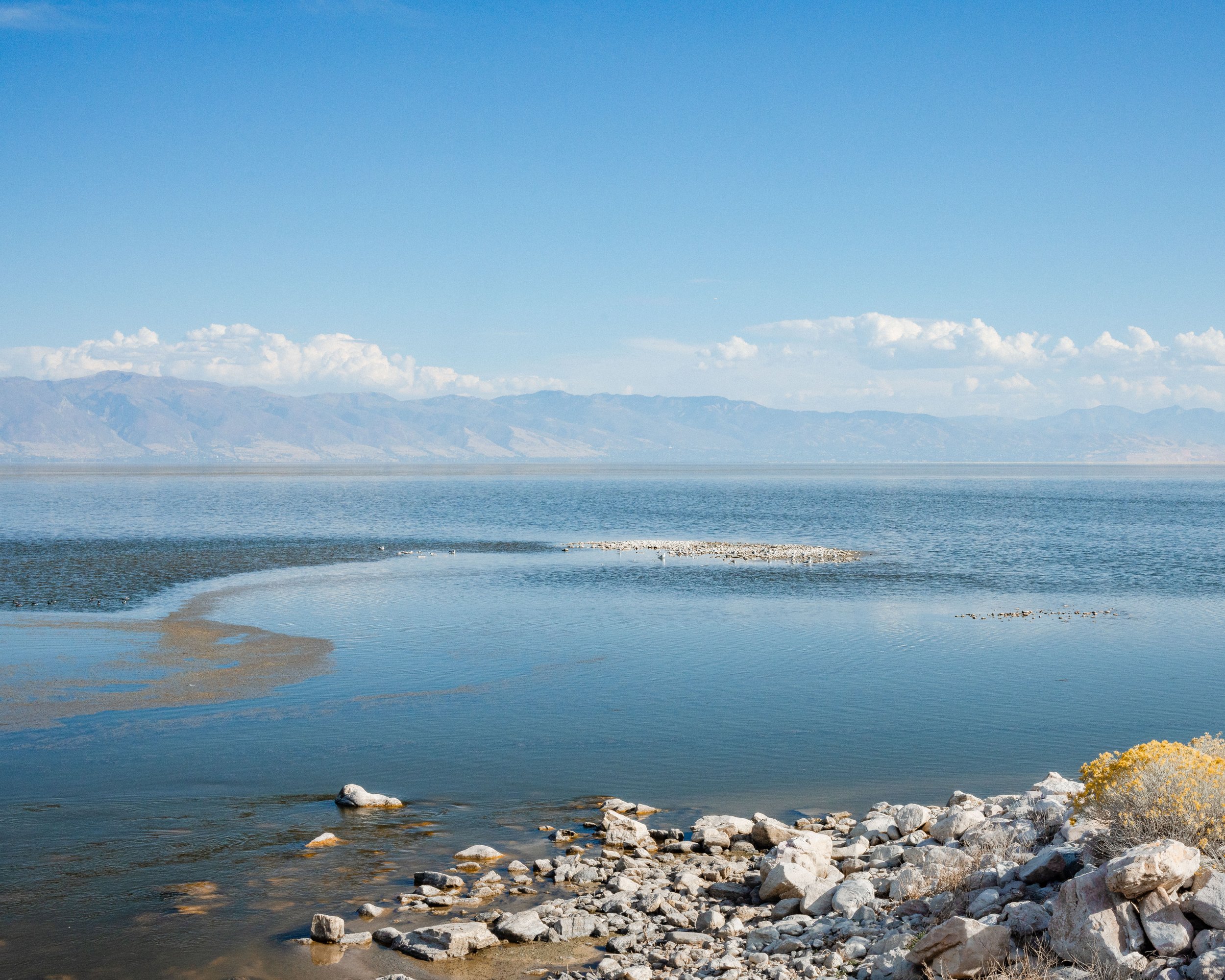 Rurual.seascape.fineart.etc 7.20.25 Lower image quality-2-130.jpg