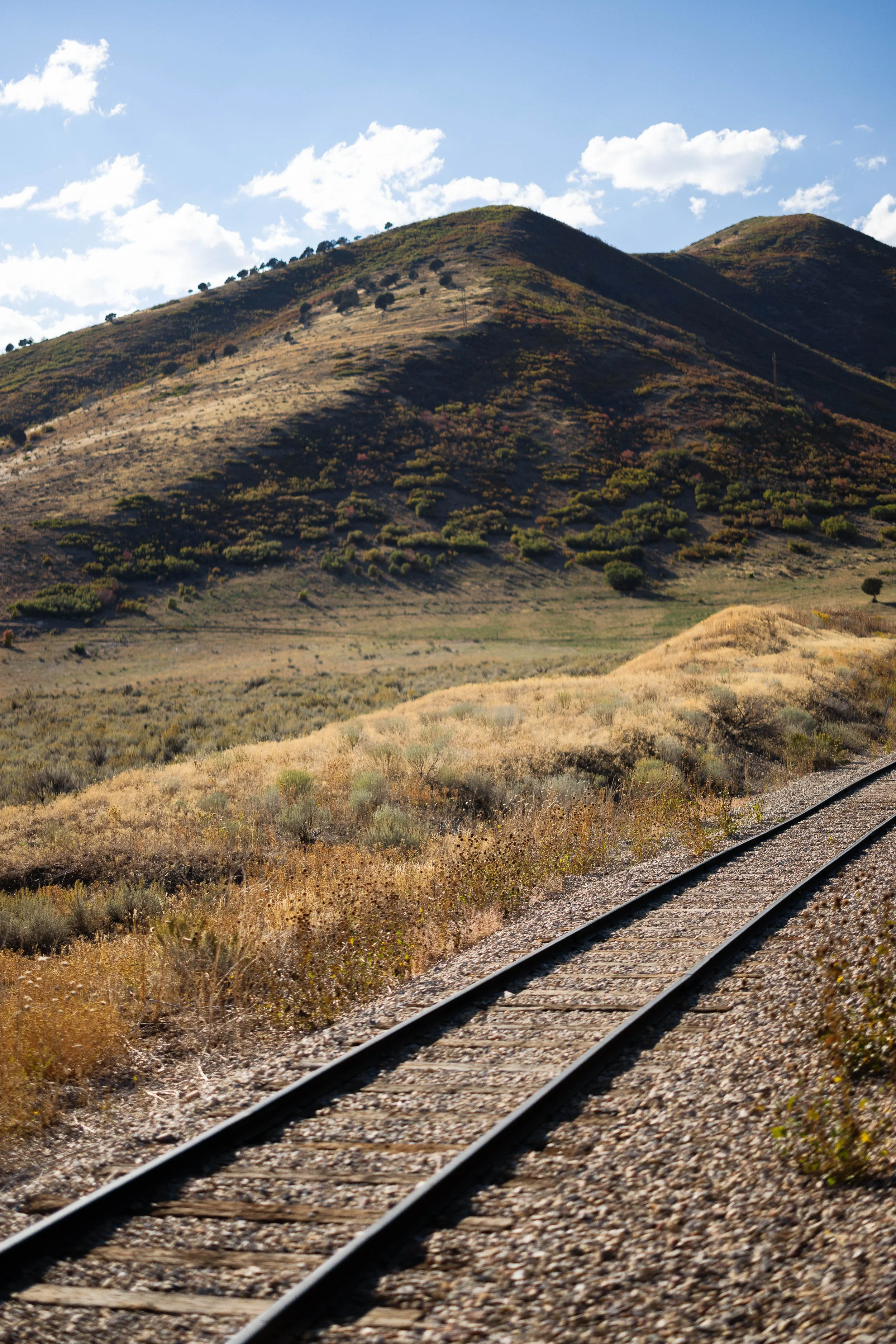 Rurual.seascape.fineart.etc 7.20.25 Lower image quality-1106.jpg