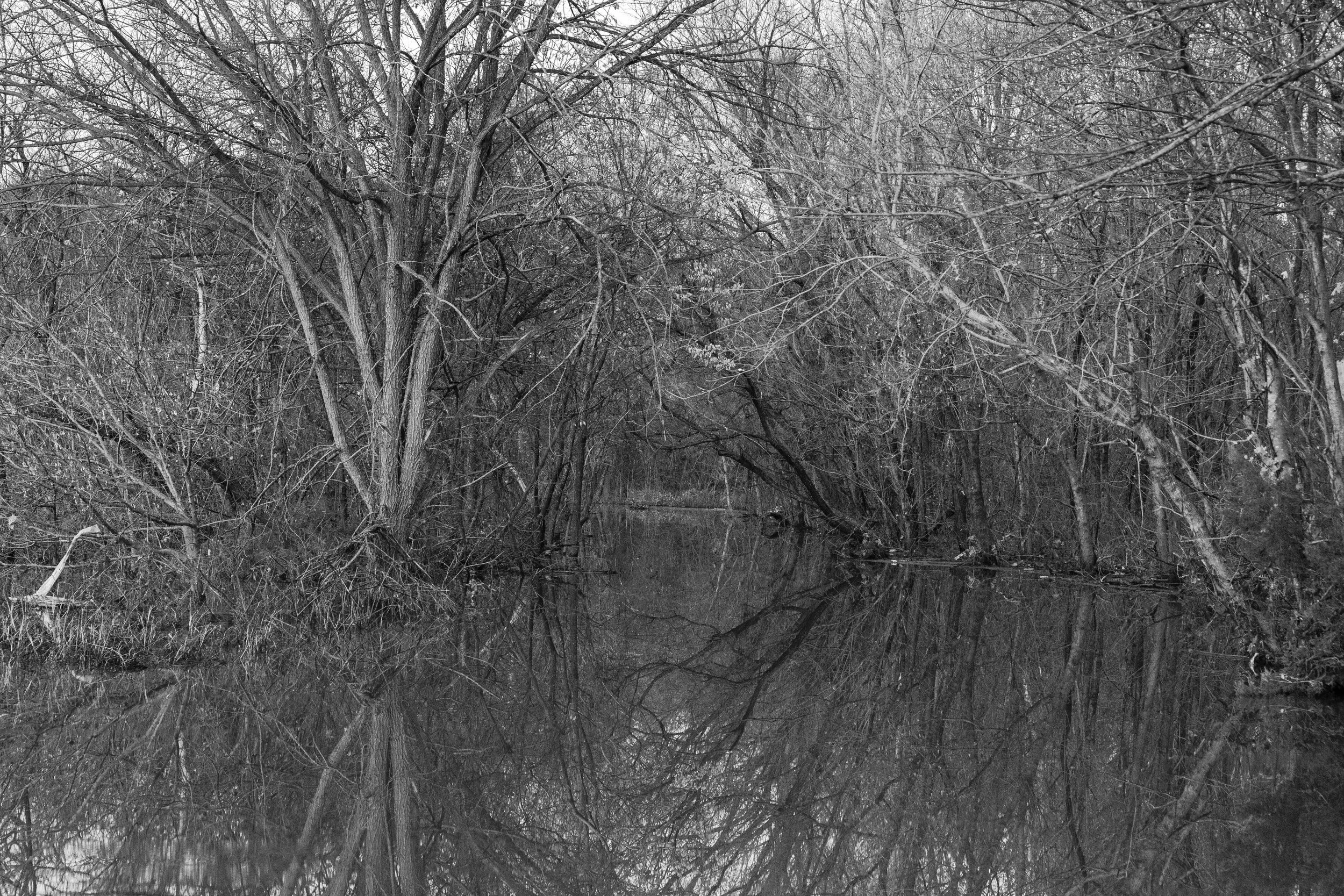 end of the road-3056.jpg