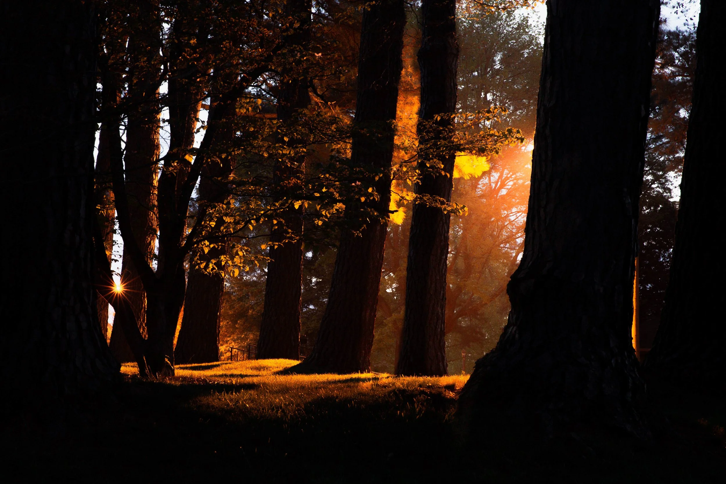 Rurual.seascape.fineart.etc 7.20.25 Lower image quality-3-9.jpg