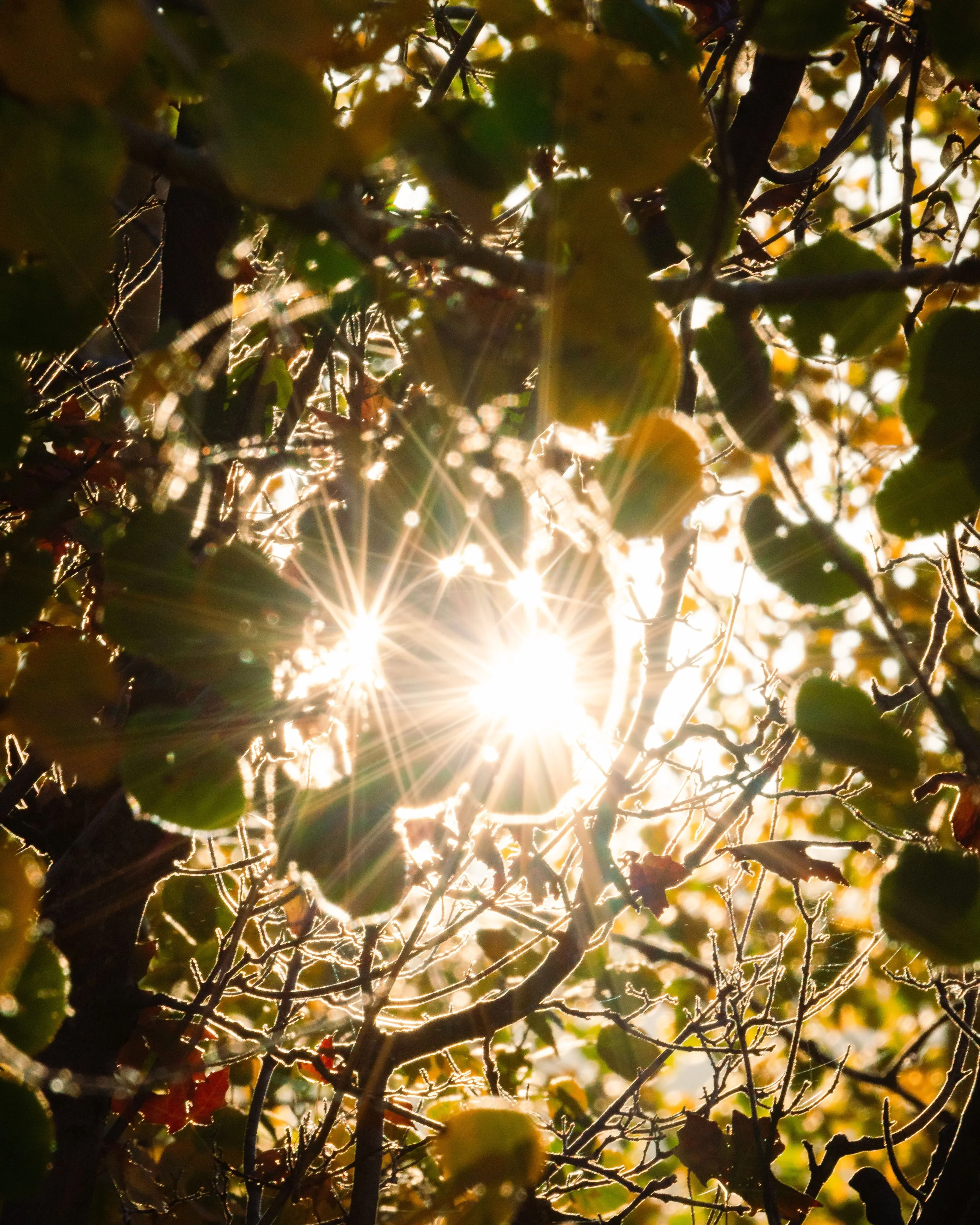 Rurual.seascape.fineart.etc 7.20.25 Lower image quality--96.jpg