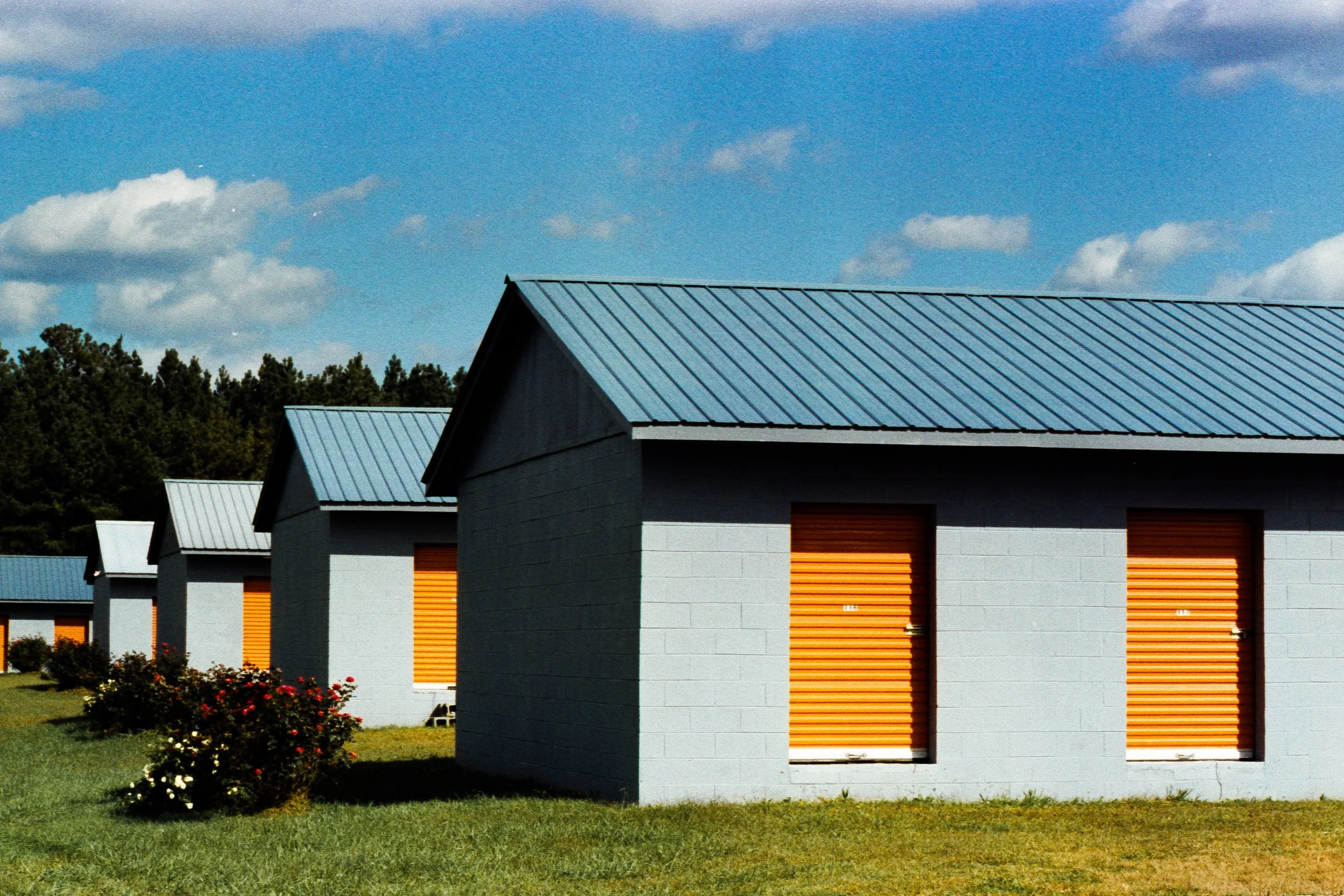 Married.Rural.Birds-10 copy.jpg