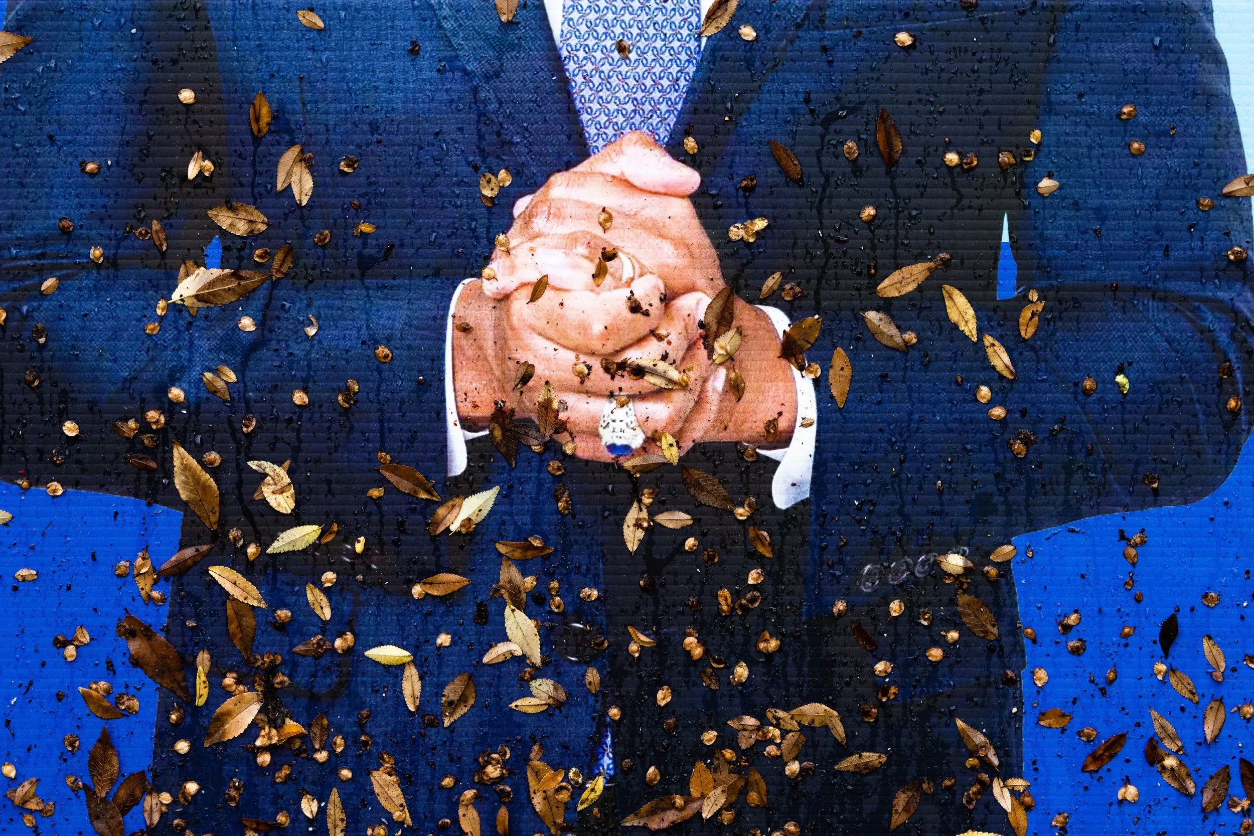 Rurual.seascape.fineart.etc 7.20.25 Lower image quality-1183.jpg