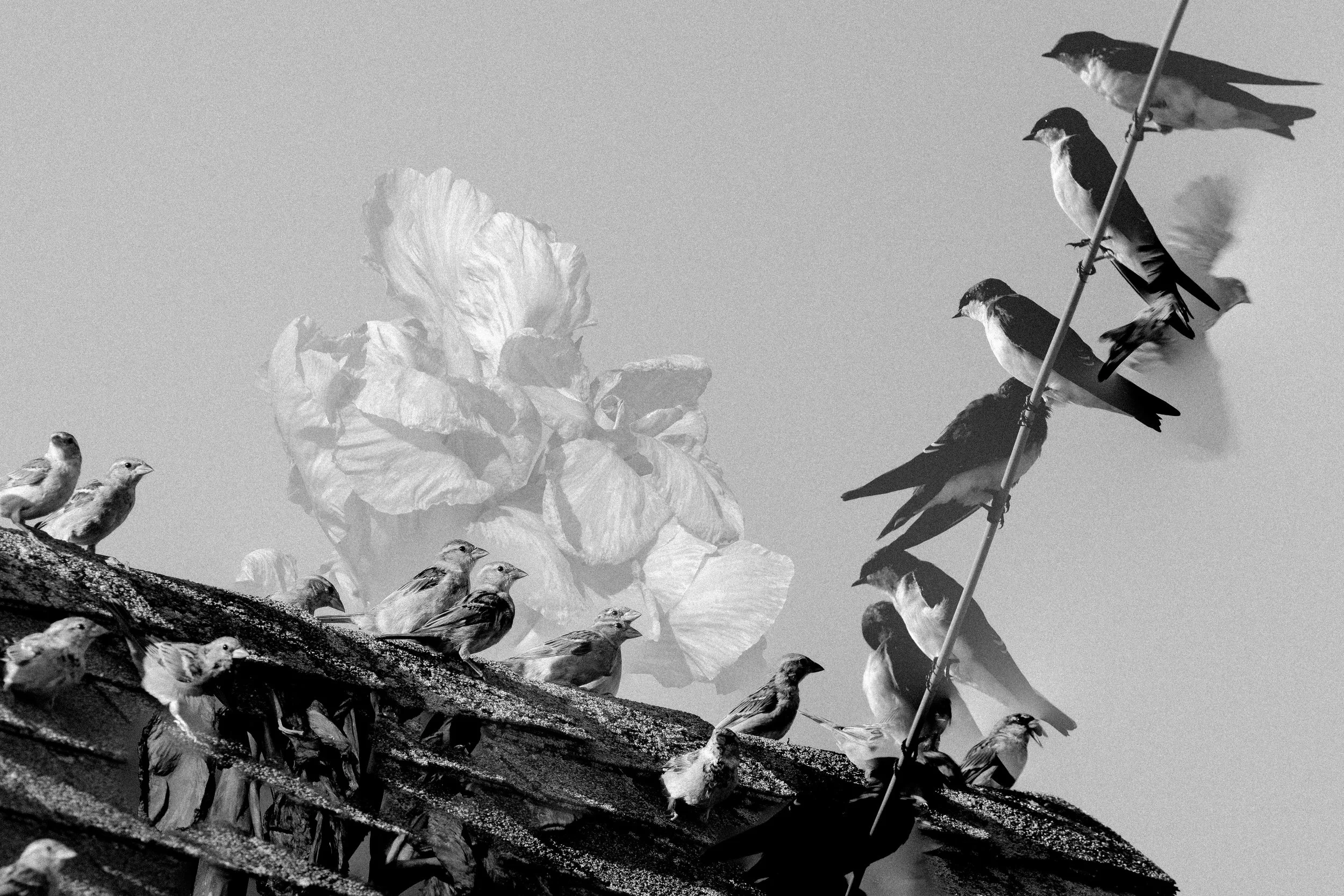 Rurual.seascape.fineart.etc 7.20.25 Lower image quality-6502.jpg