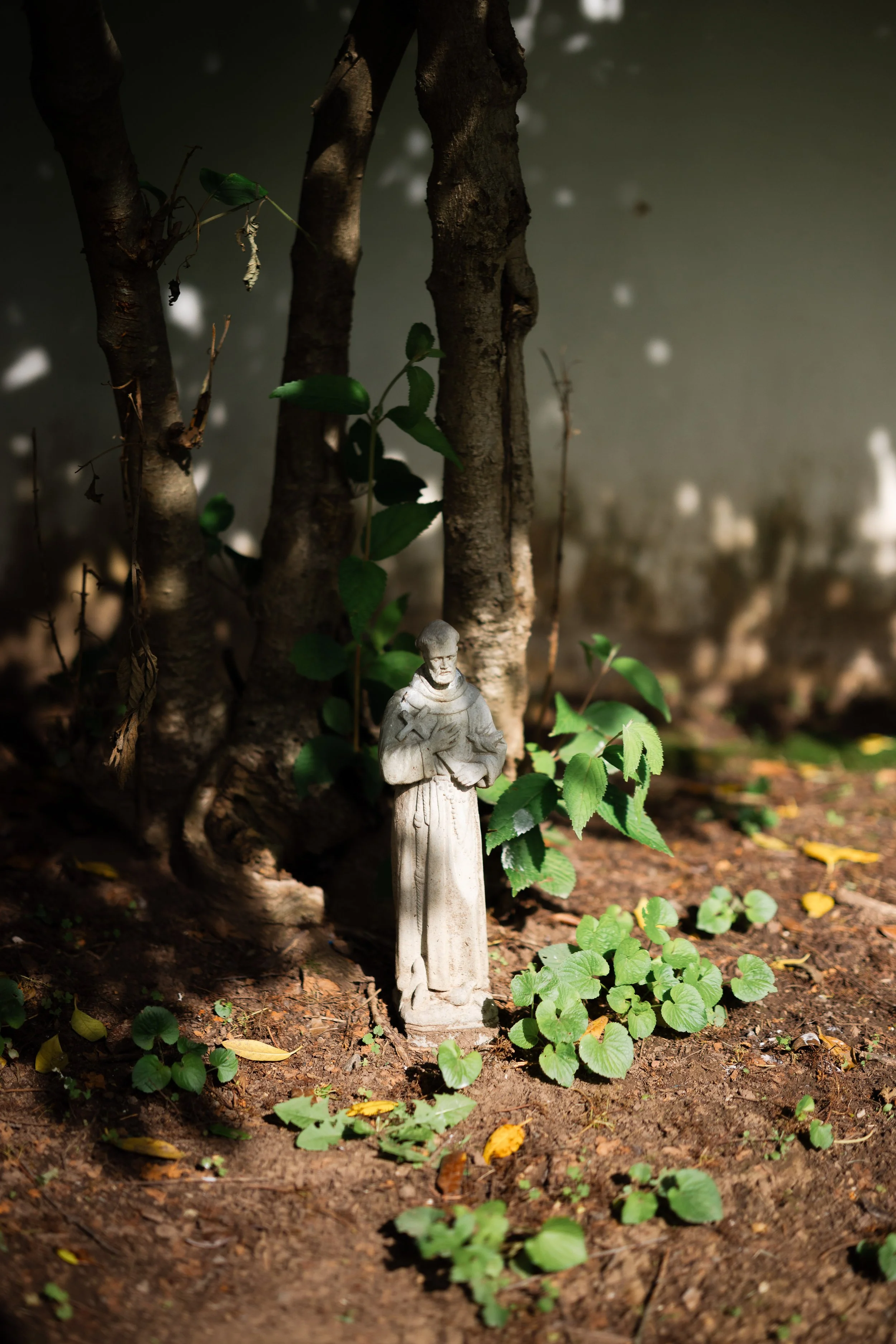 Rurual.seascape.fineart.etc 7.20.25 Lower image quality-4-18.jpg