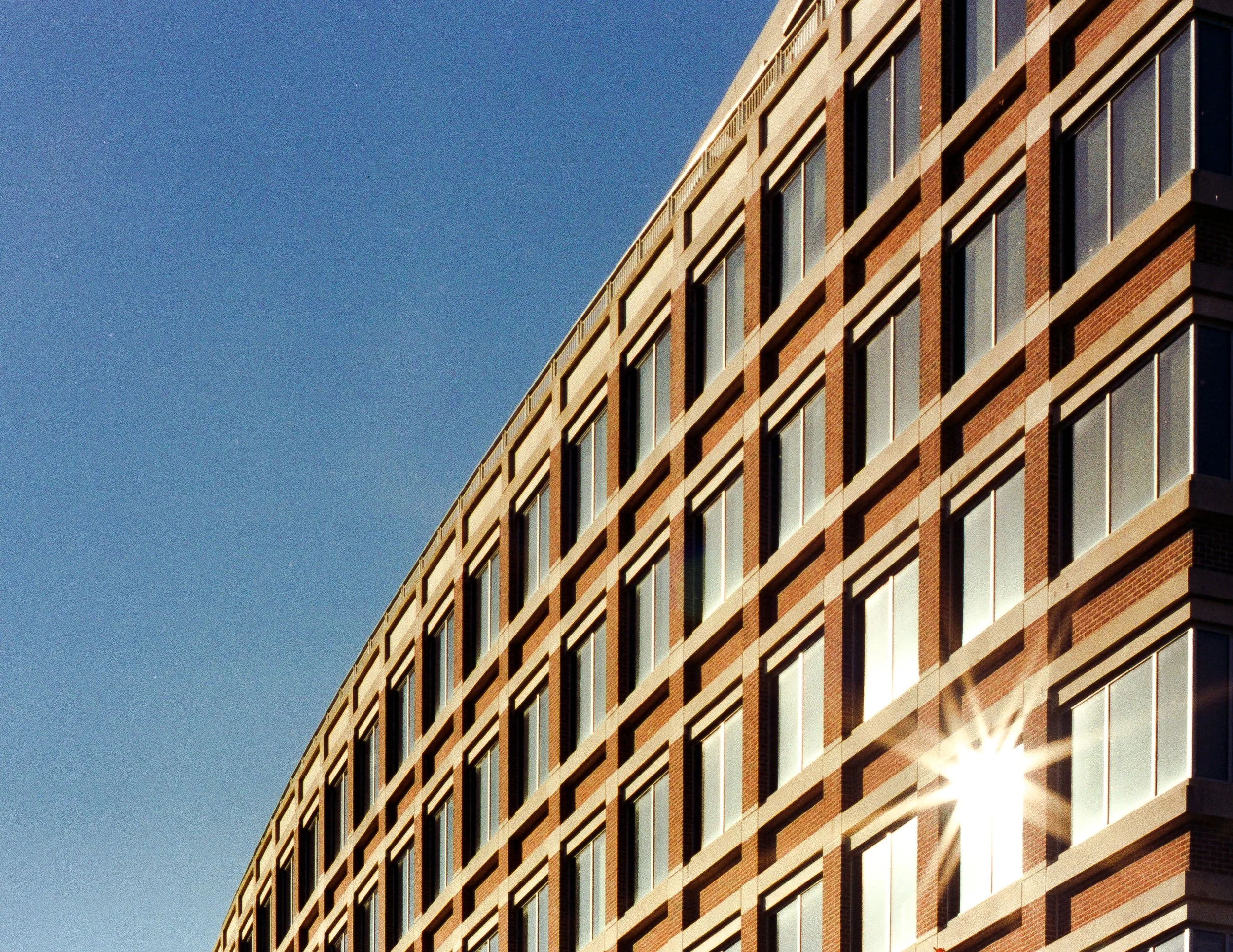 Married.Rural.Birds-5 copy.jpg