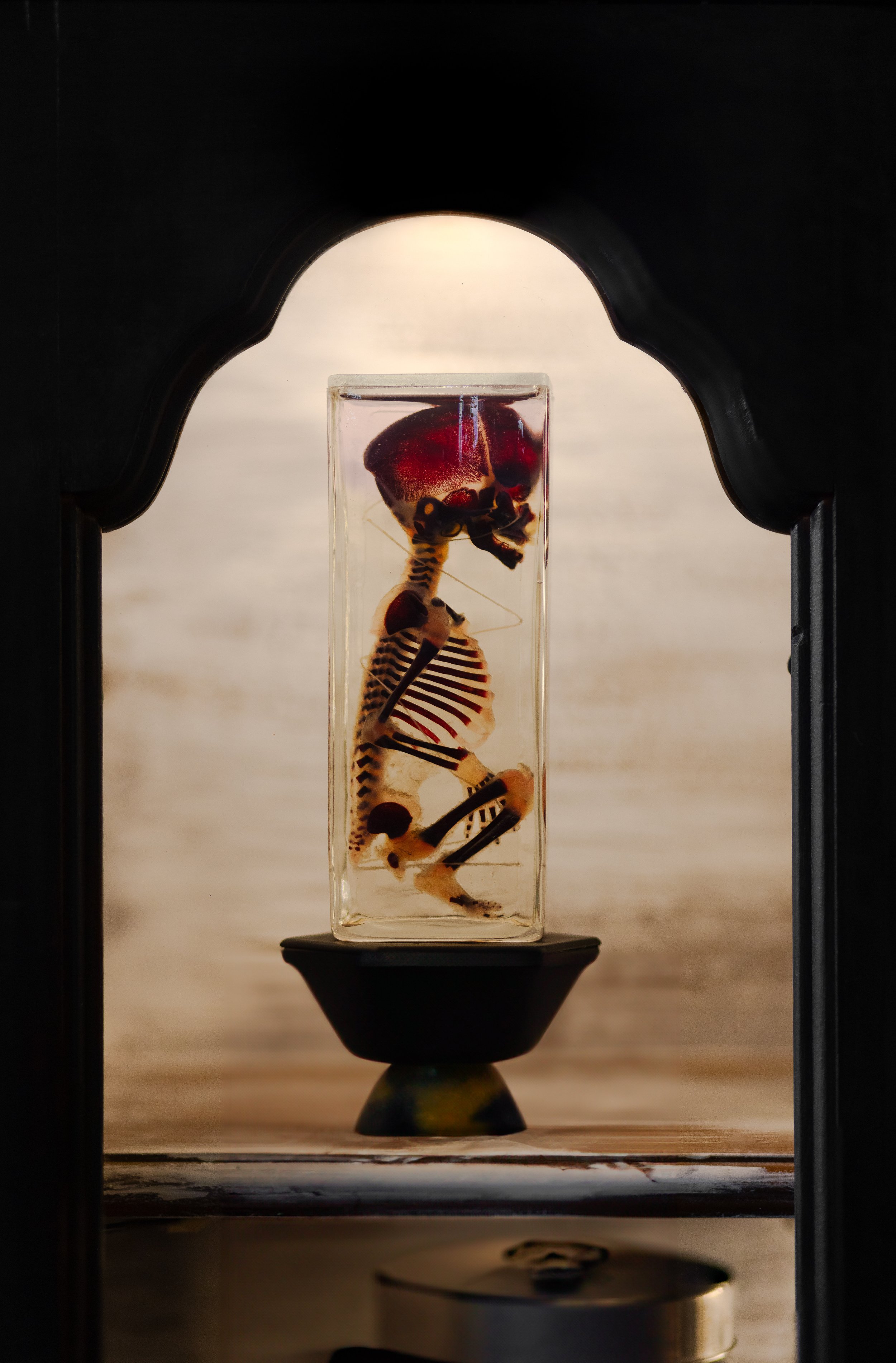 Rurual.seascape.fineart.etc 7.20.25 Lower image quality--47.jpg