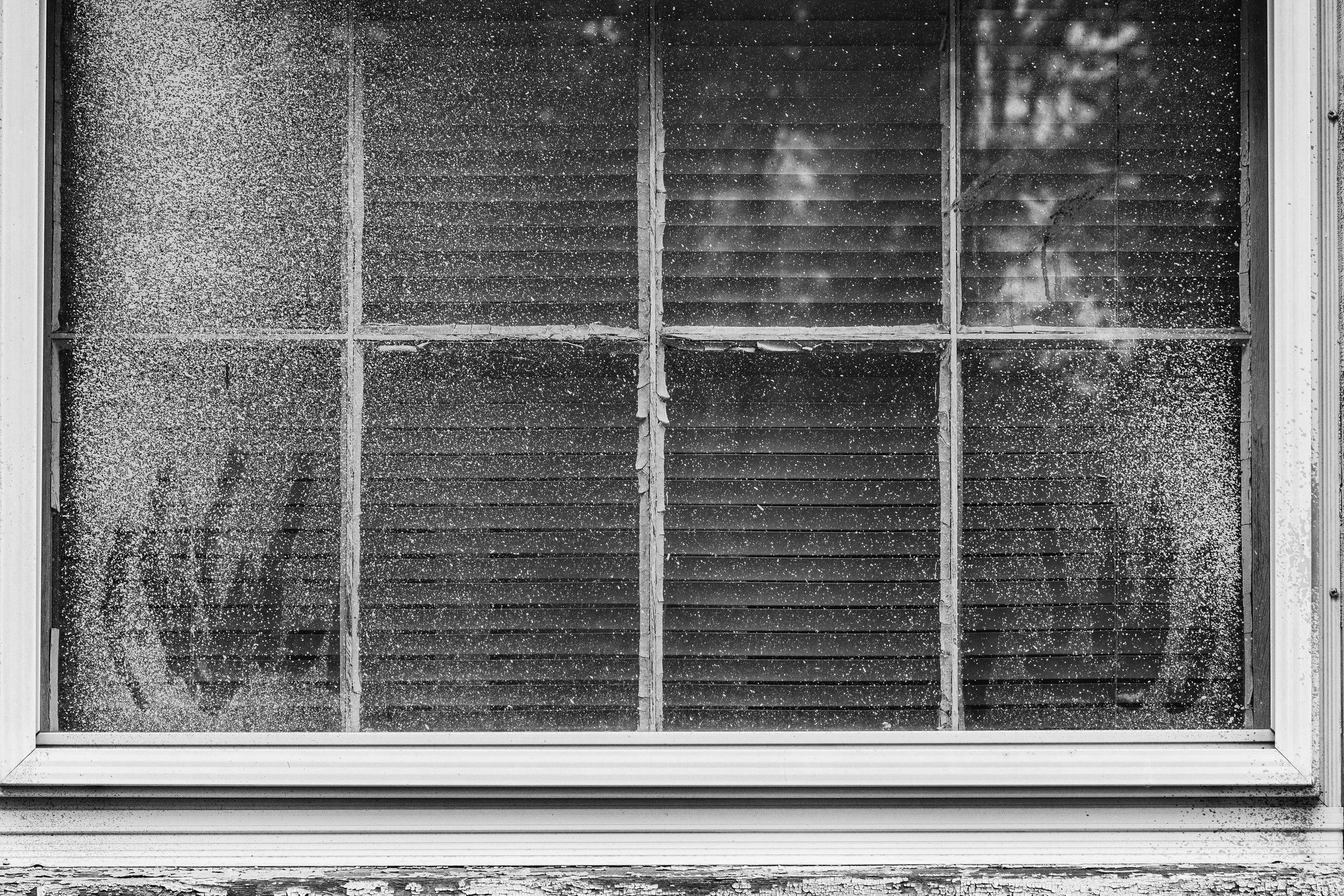 Rurual.seascape.fineart.etc 7.20.25 Lower image quality-9228.jpg