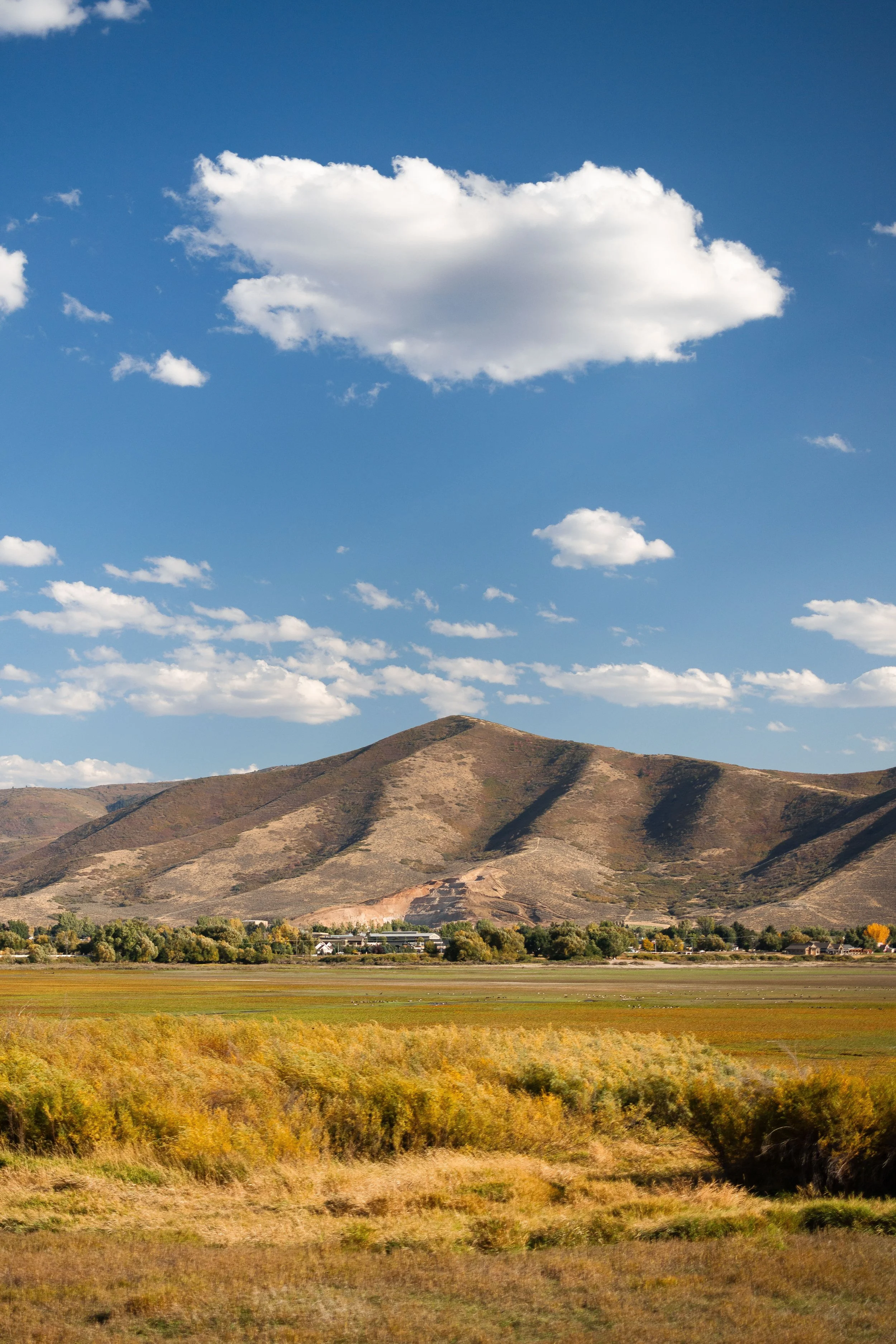 Rurual.seascape.fineart.etc 7.20.25 Lower image quality-1314.jpg