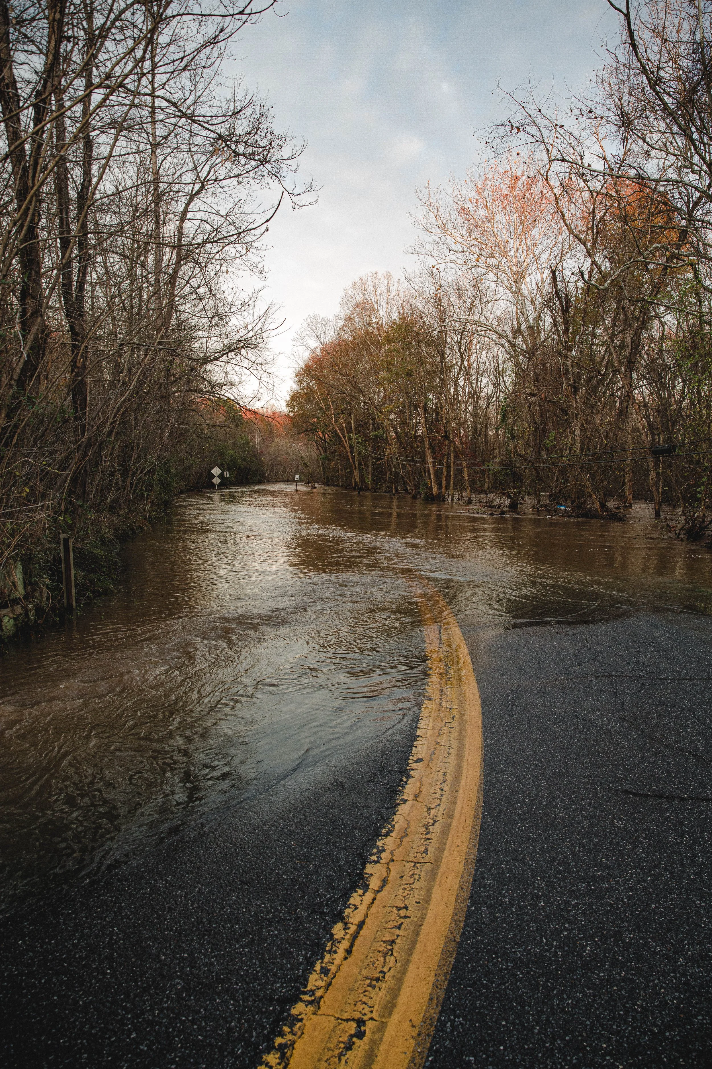 Retinal Flood-3022.jpg