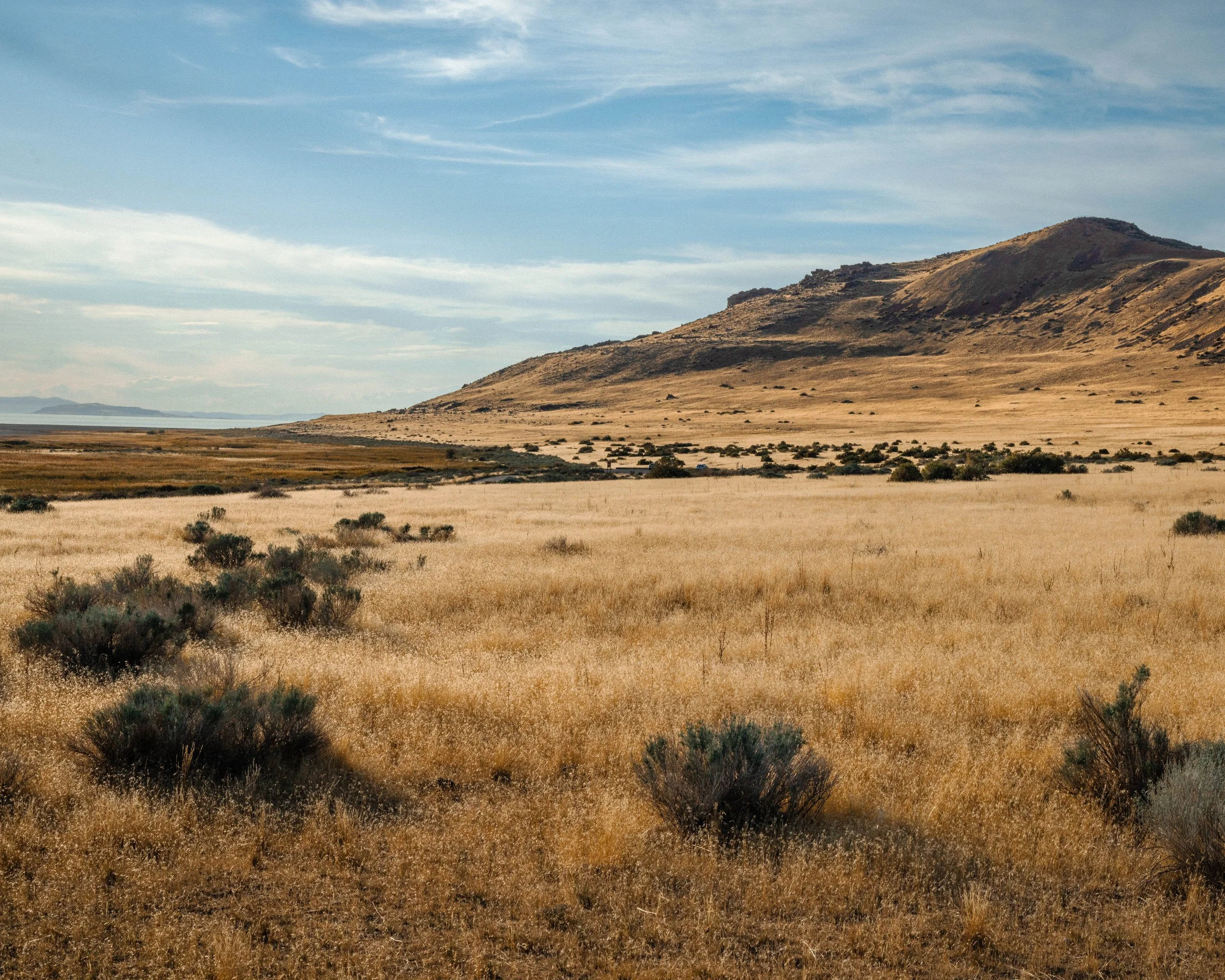 Rurual.seascape.fineart.etc 7.20.25 Lower image quality-2-147.jpg