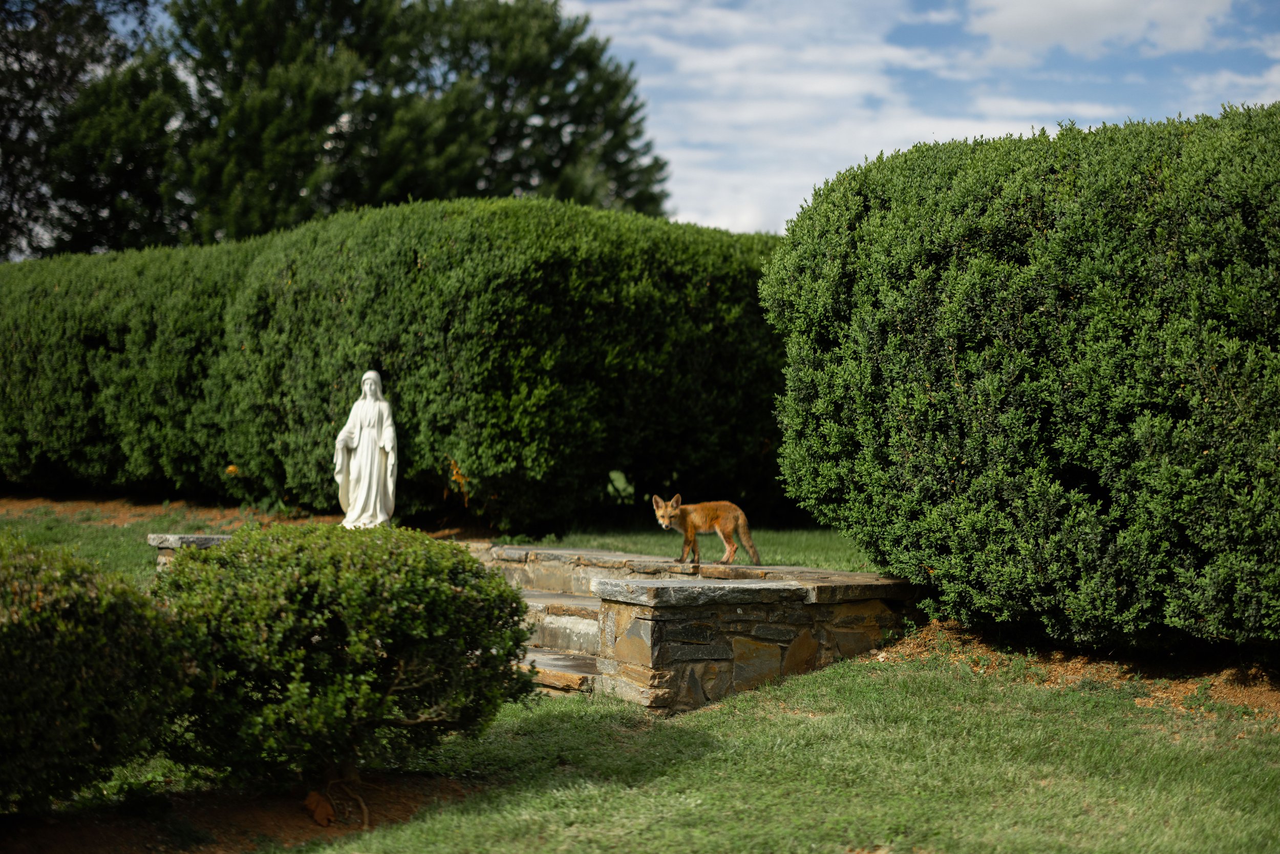 Rurual.seascape.fineart.etc 7.20.25 Lower image quality-3-64.jpg