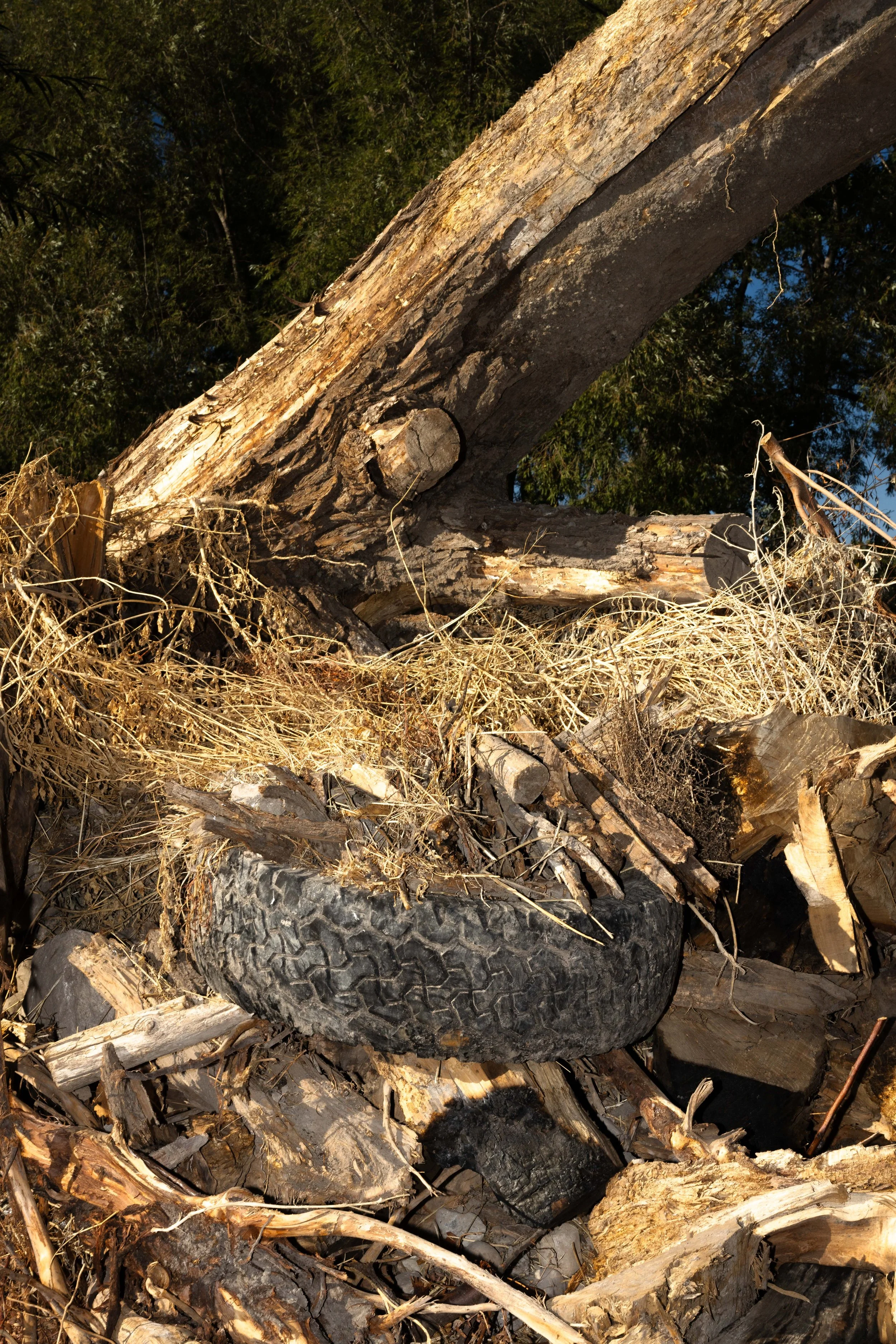 Rurual.seascape.fineart.etc 7.20.25 Lower image quality--150.jpg