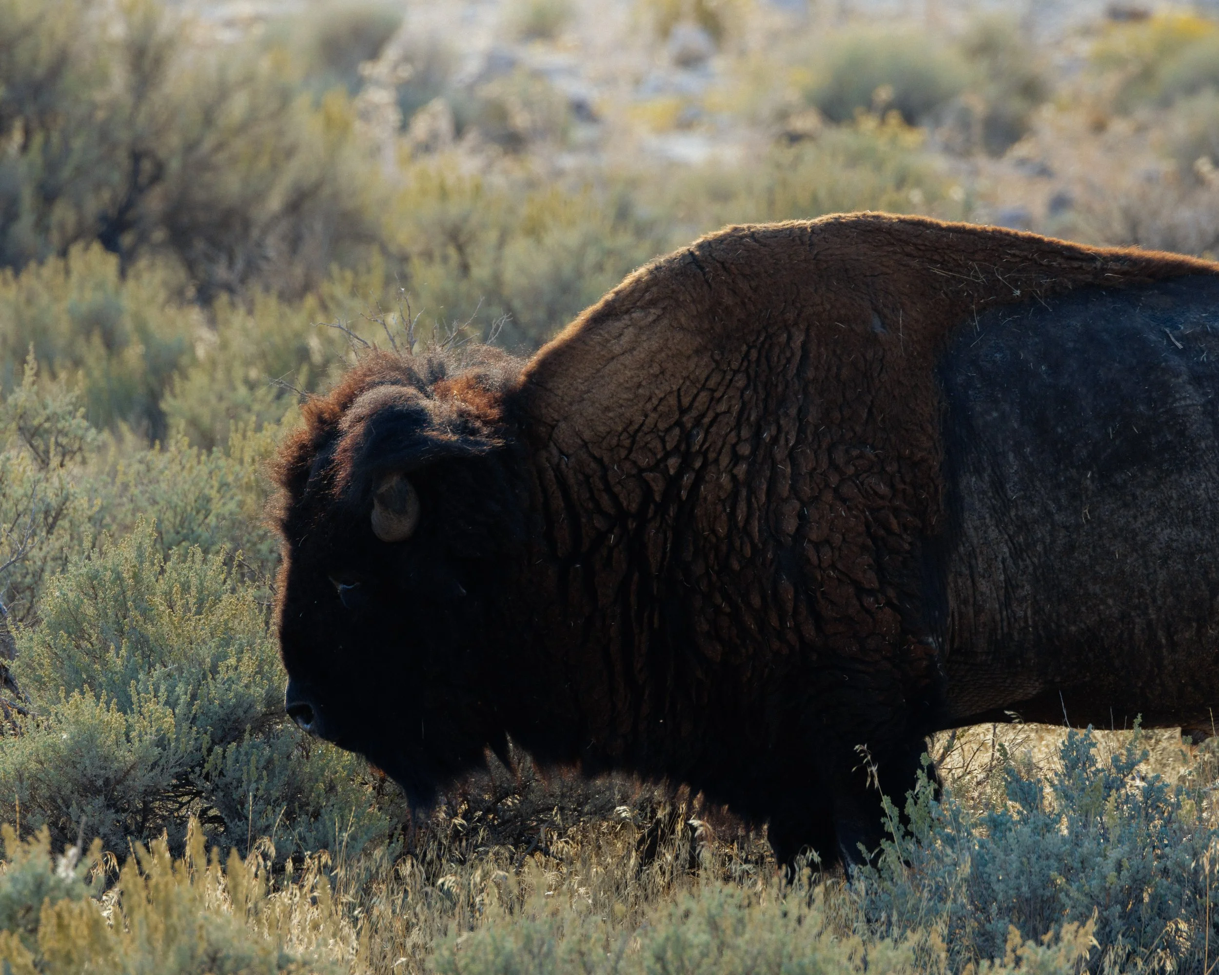 Rurual.seascape.fineart.etc 7.20.25 Lower image quality-4385.jpg