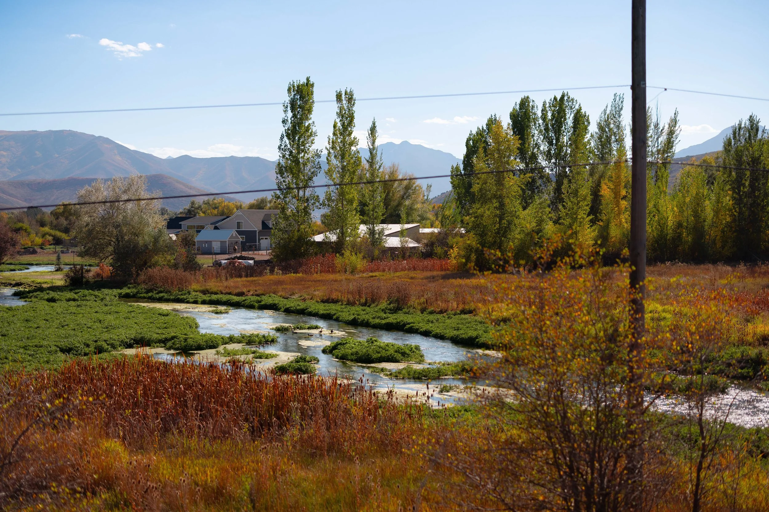 Rurual.seascape.fineart.etc 7.20.25 Lower image quality-0611.jpg