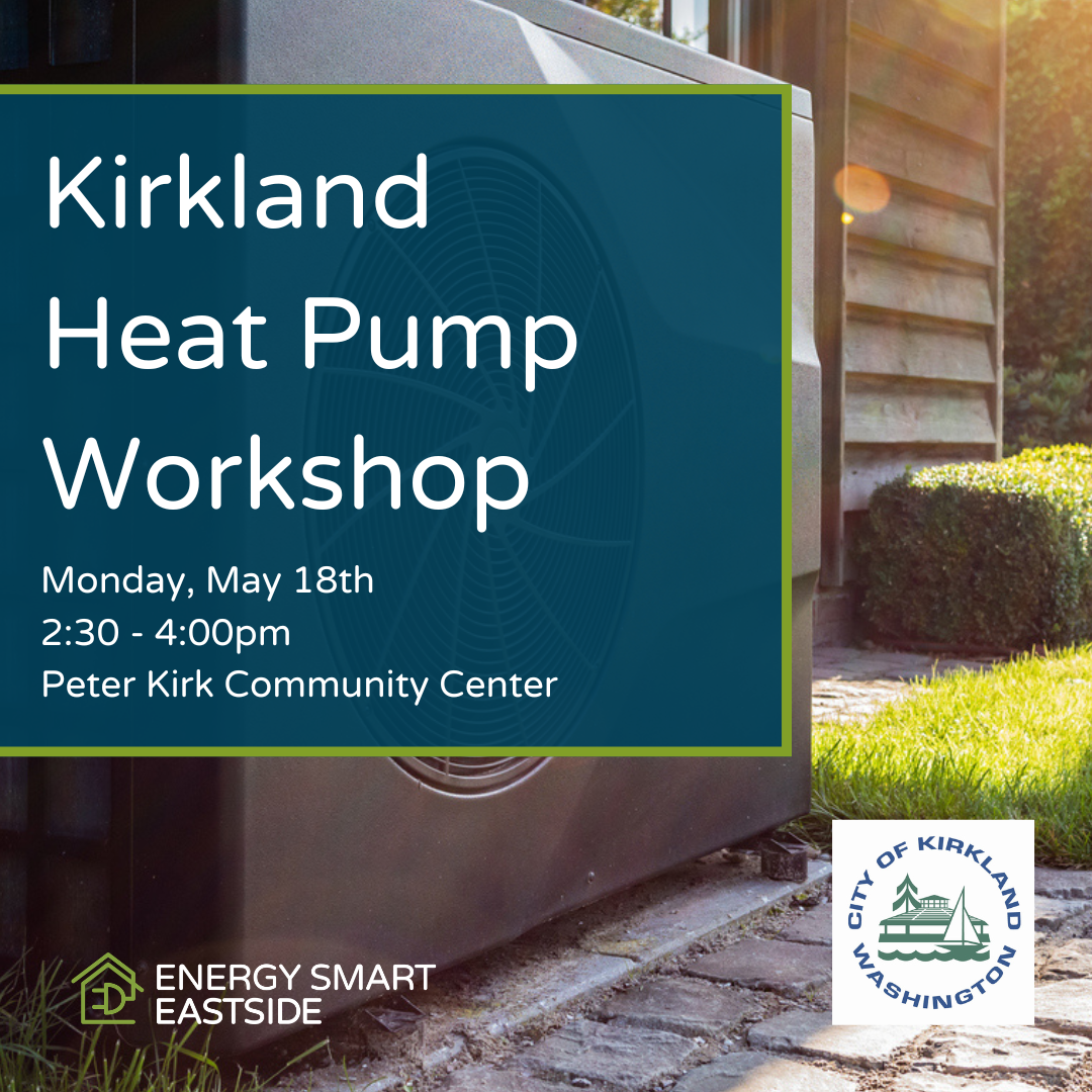 Kirkland Heat Pump Workshop