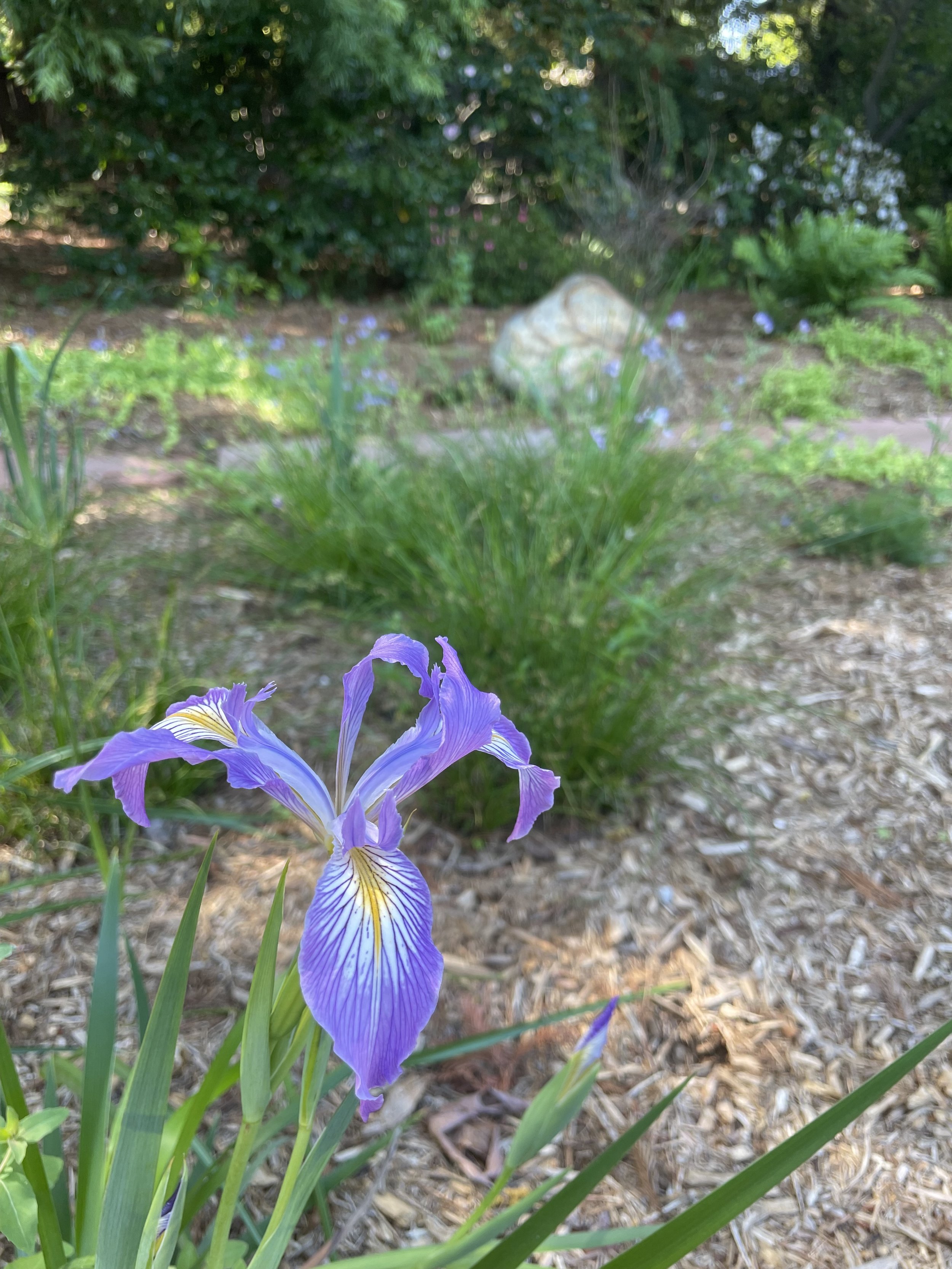 IMG_5693.jpeg