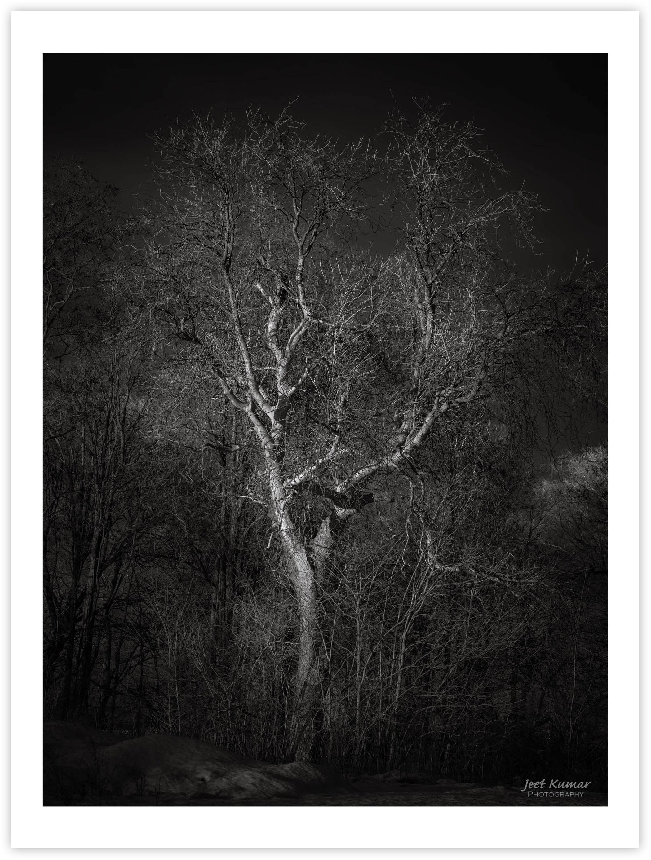 The Low Winter Sun