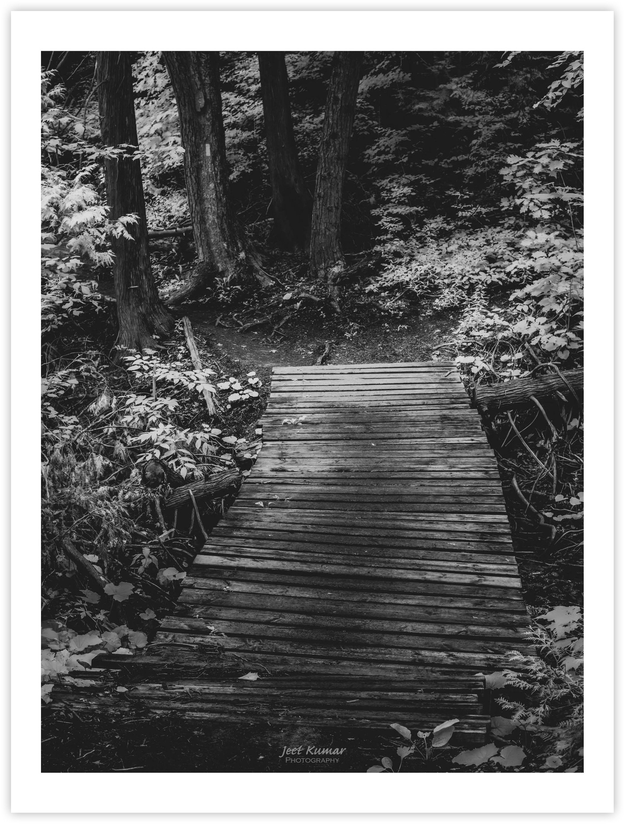 Echoes And Traces