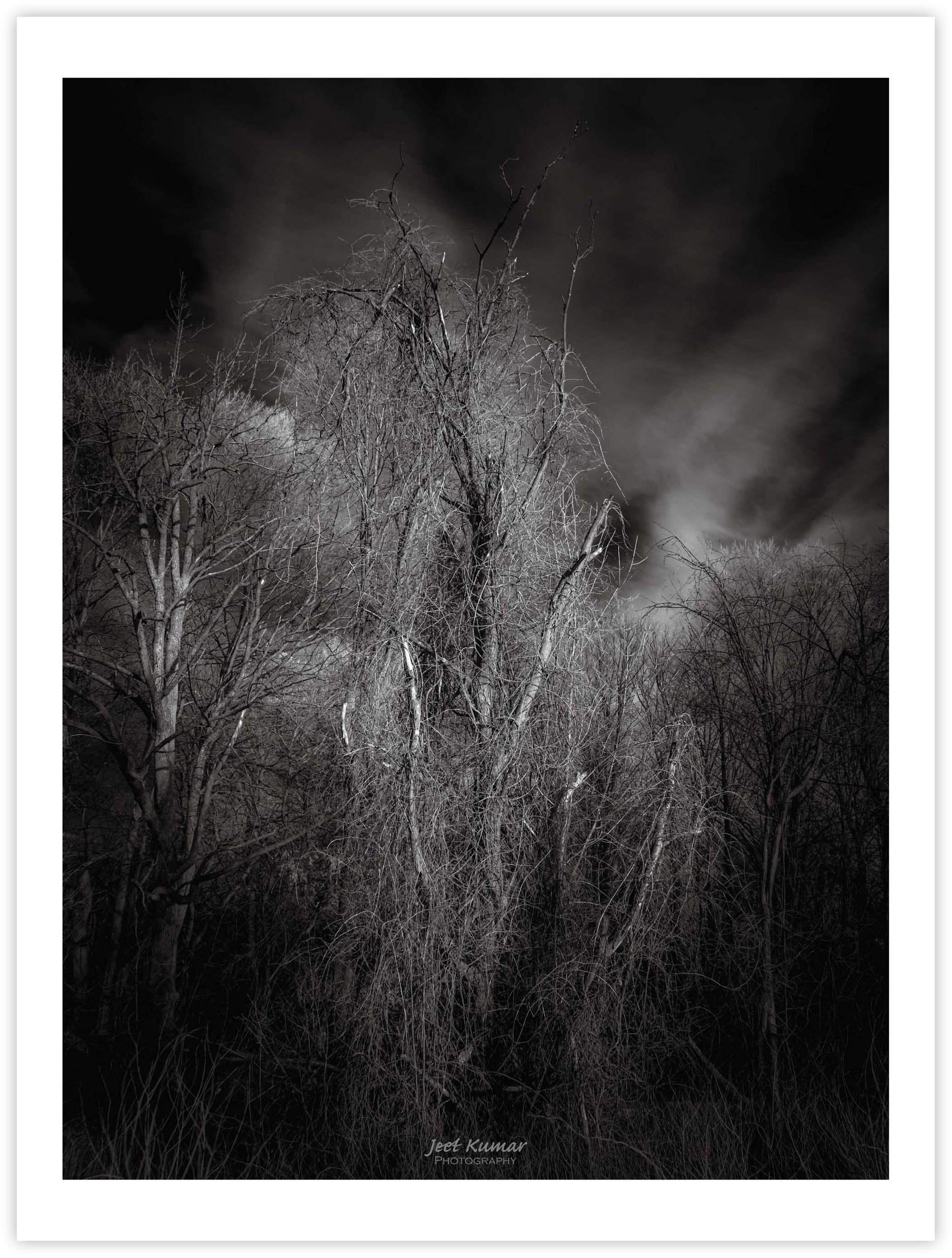 The Low Winter Sun (III)