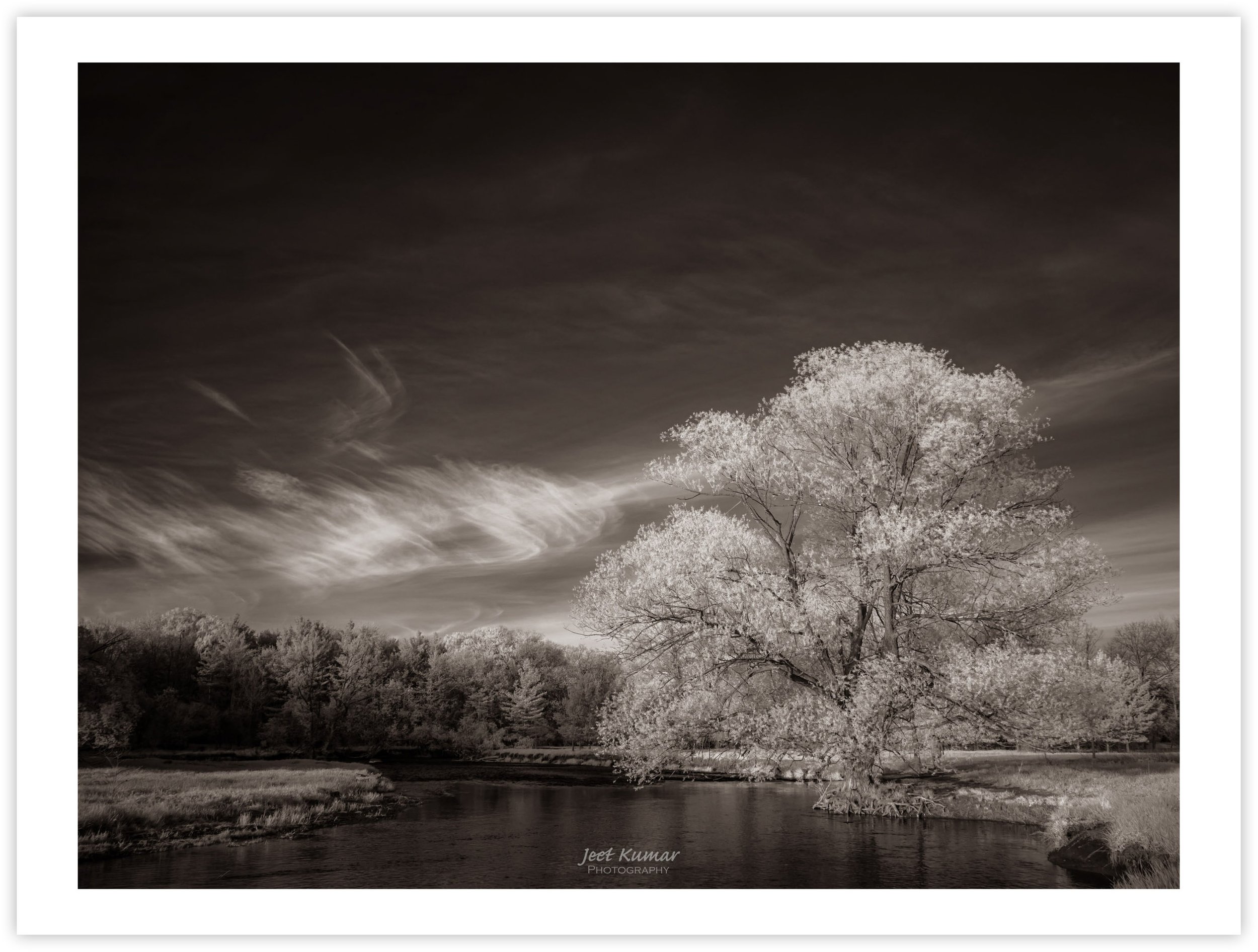 The River's Edge