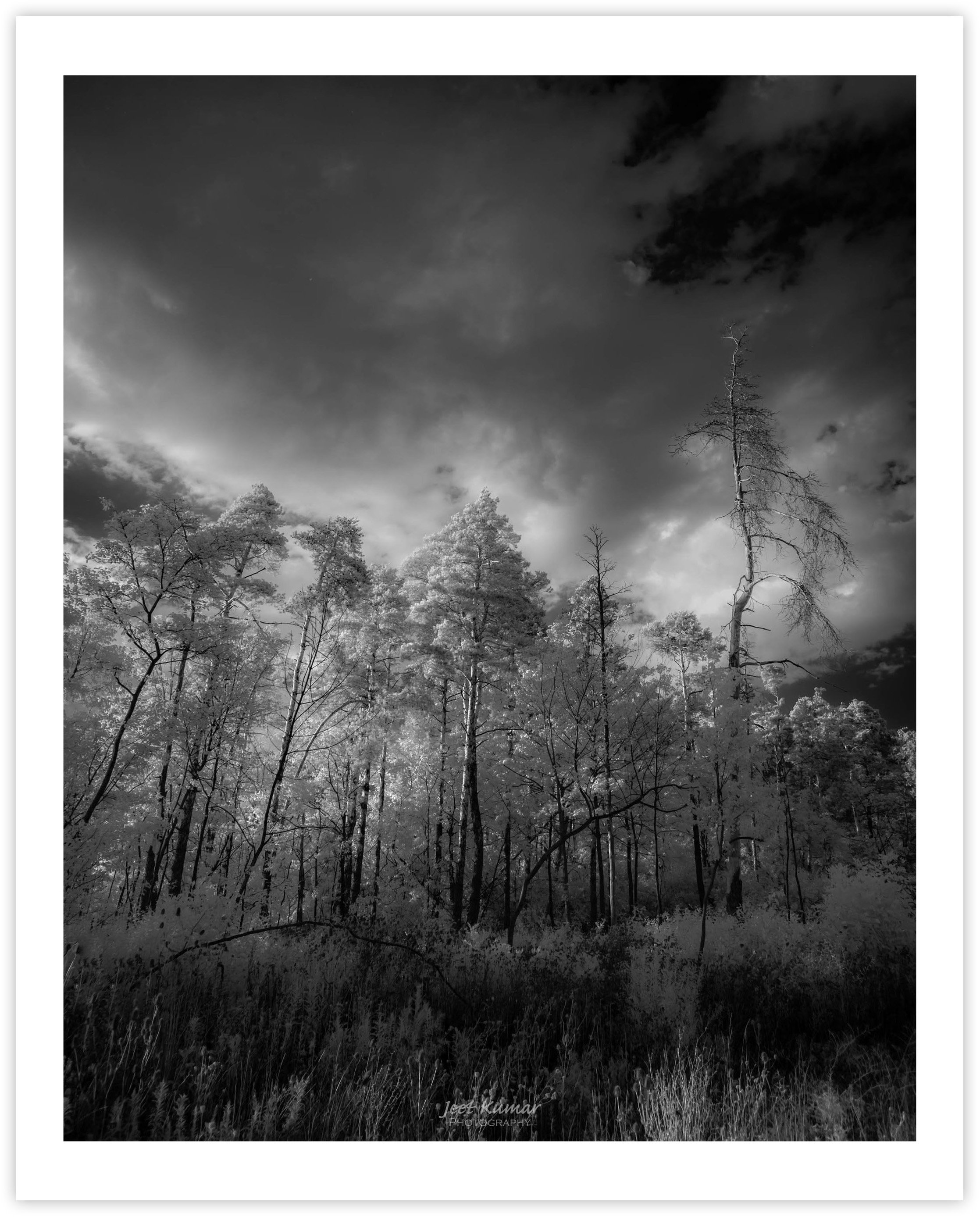 The Texture Of Light (II)