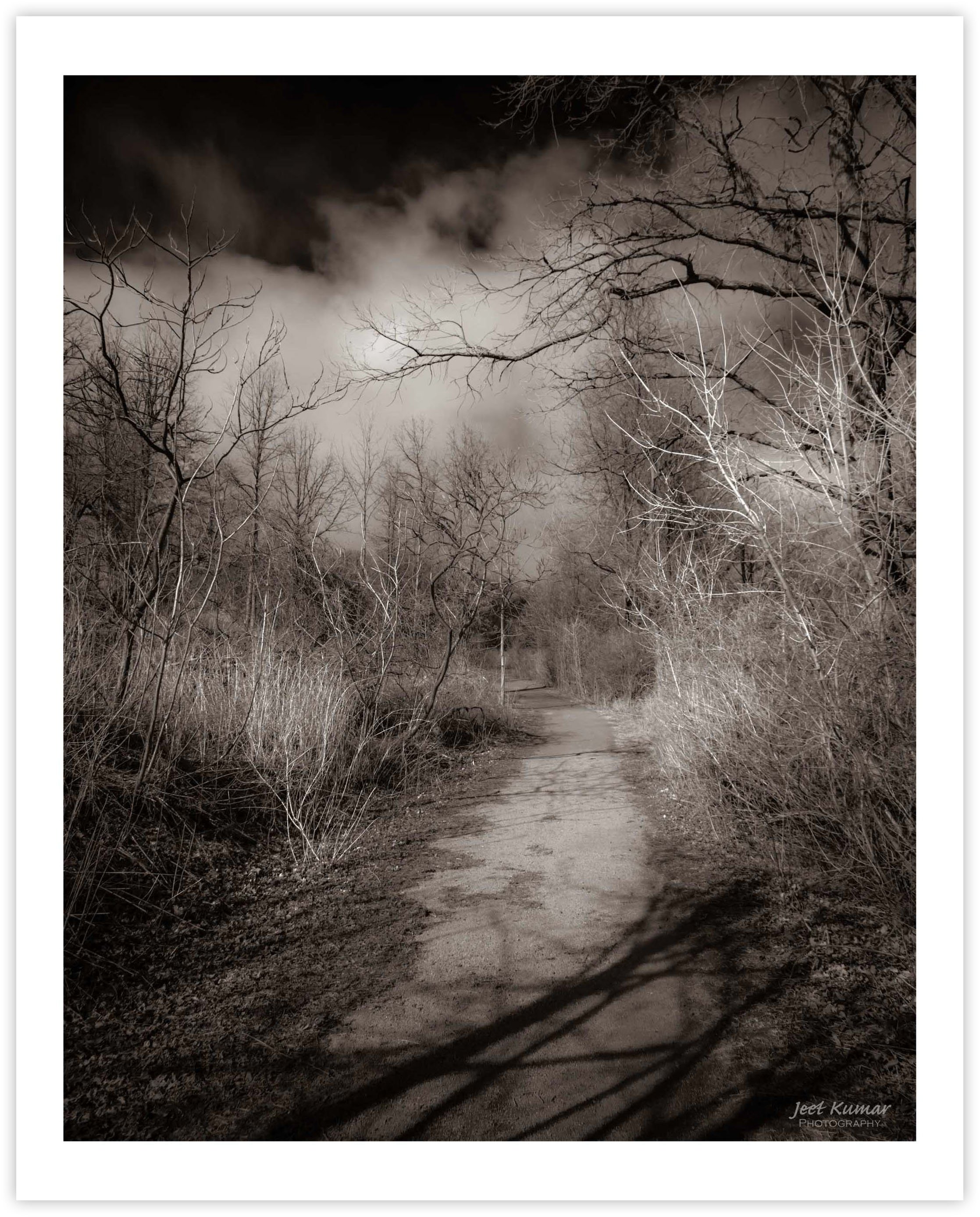 Winter's Retreat